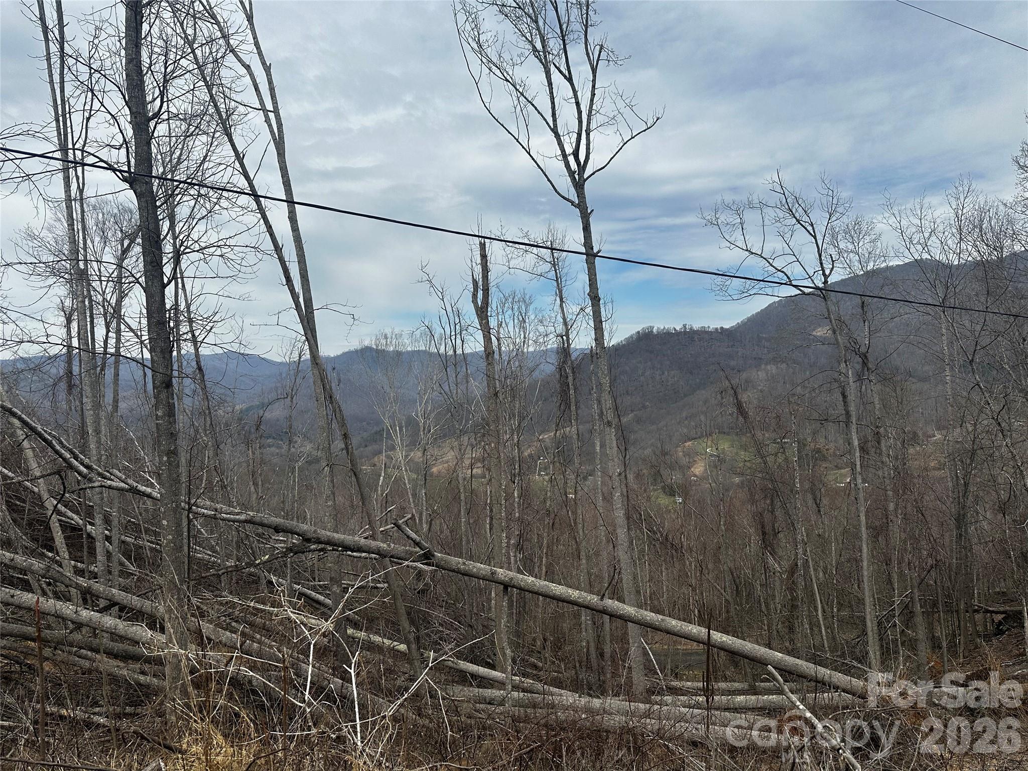 Lot at 00 Bear Ridge Road, Bakersville, photo 4 of 19