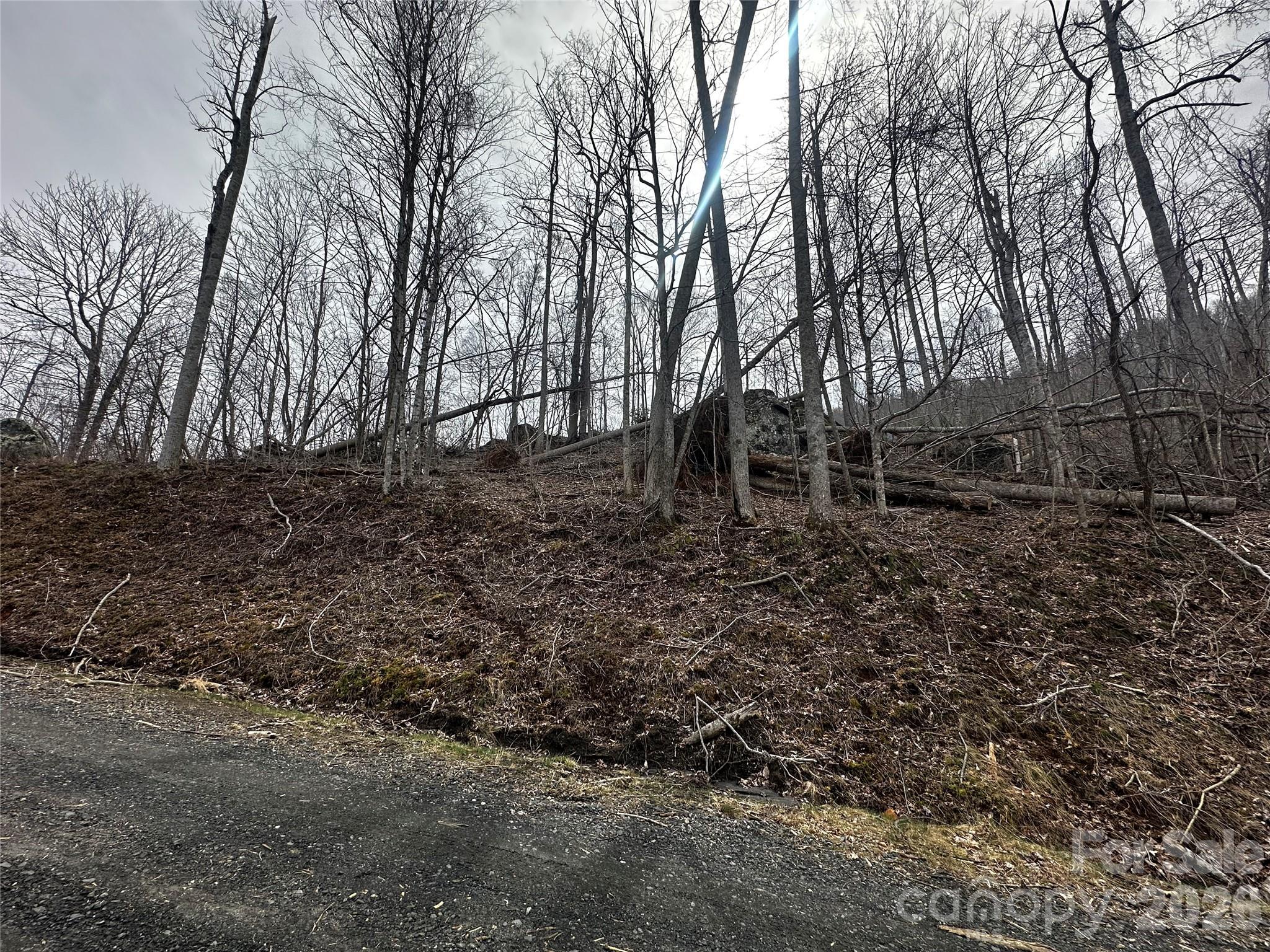 Lot at 00 Bear Ridge Road, Bakersville, photo 7 of 19