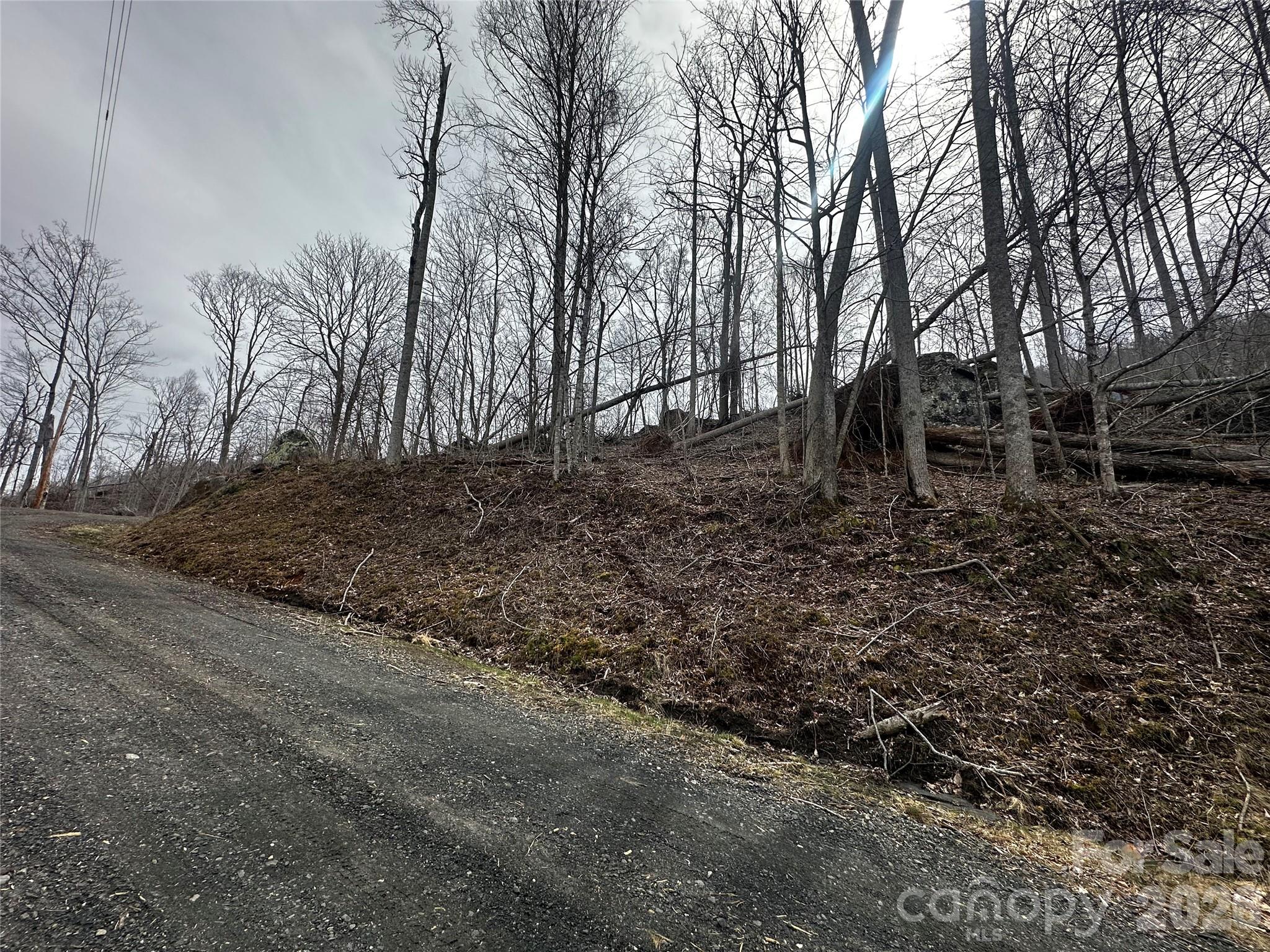 Lot at 00 Bear Ridge Road, Bakersville, photo 8 of 19