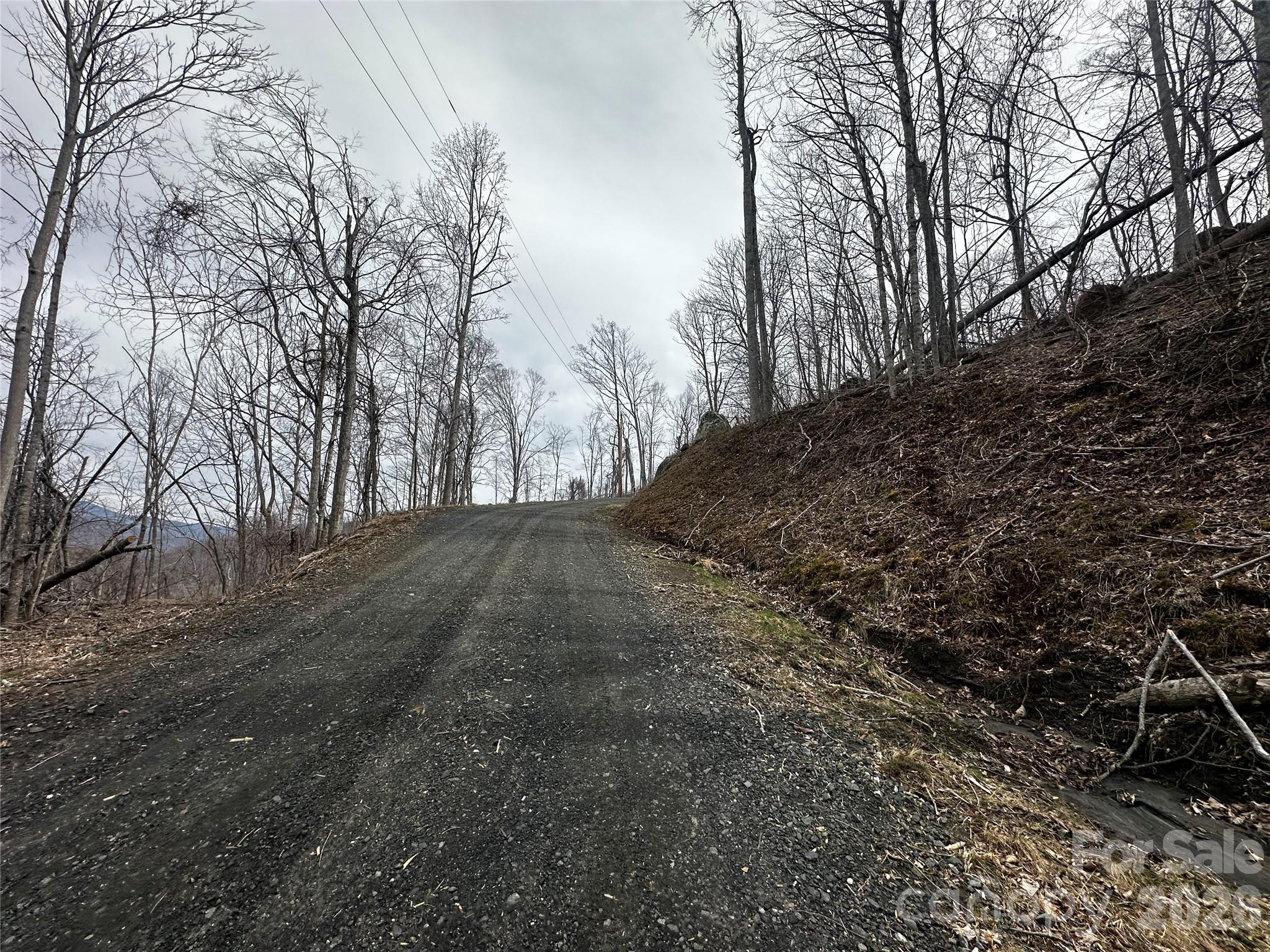 Lot at 00 Bear Ridge Road, Bakersville, photo 9 of 19