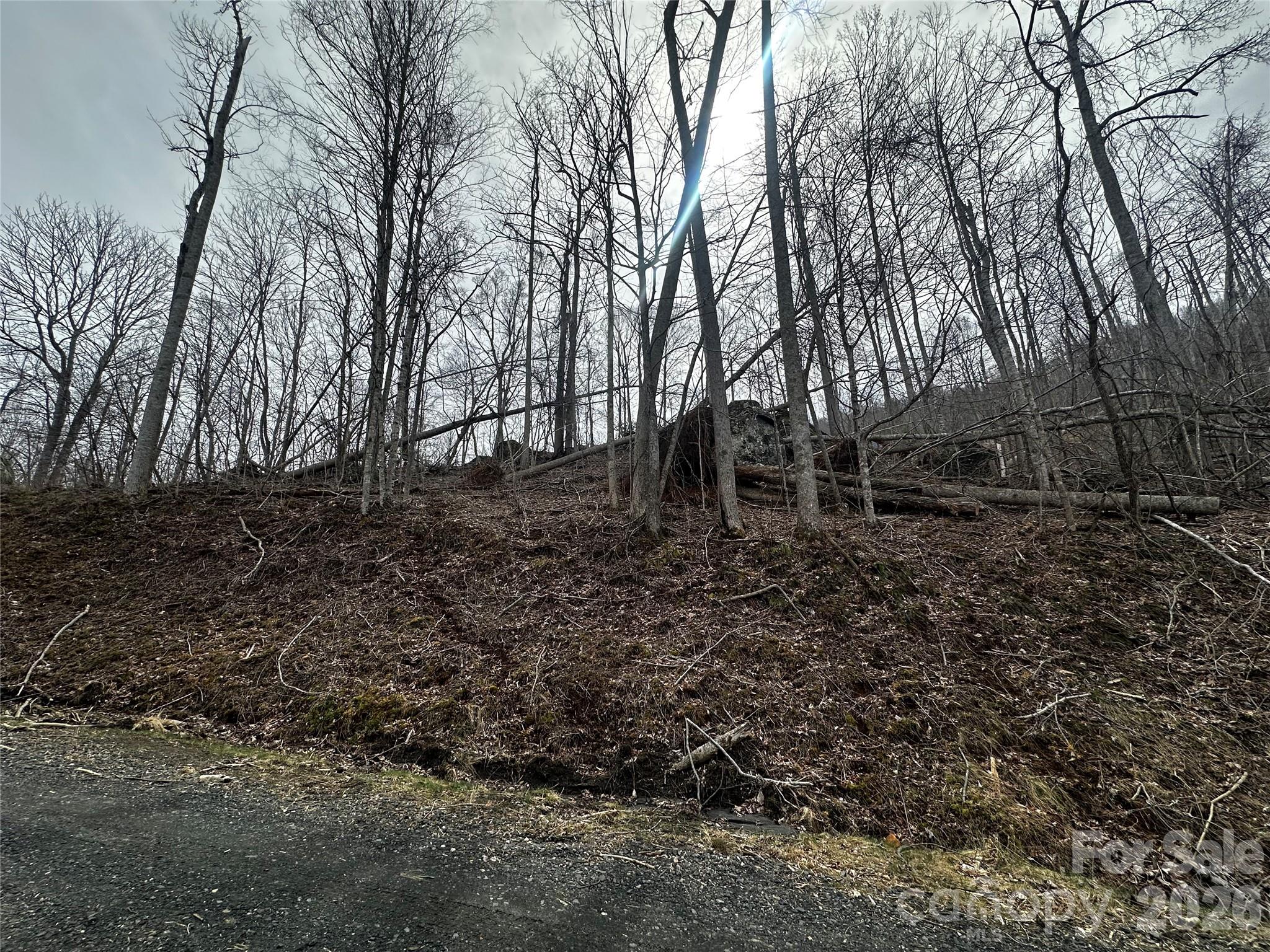 Lot at 00 Bear Ridge Road, Bakersville, photo 11 of 19