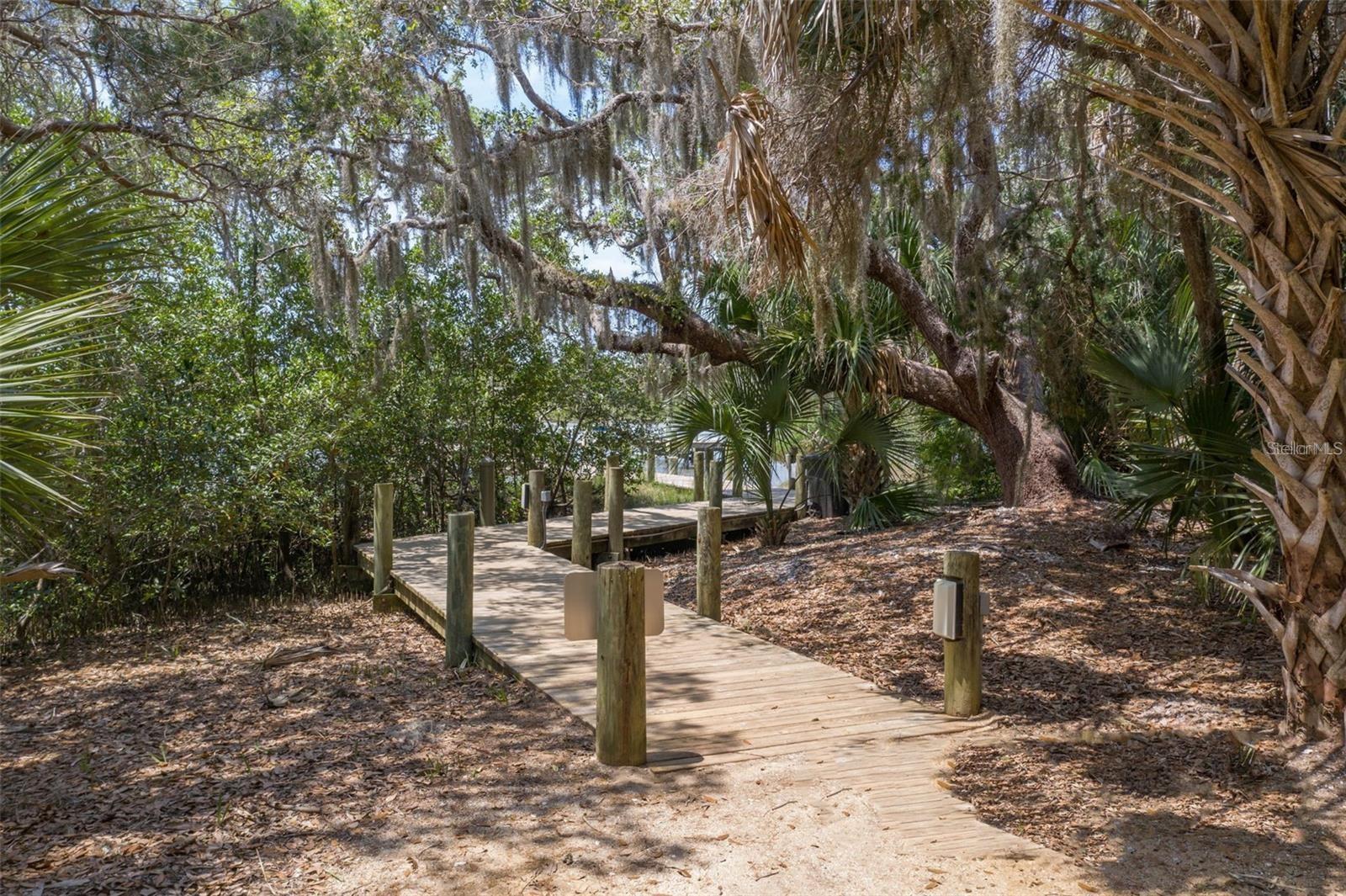 Single Family Residence at 41 LOS LAGOS BLVD, PALM COAST, photo 49 of 90