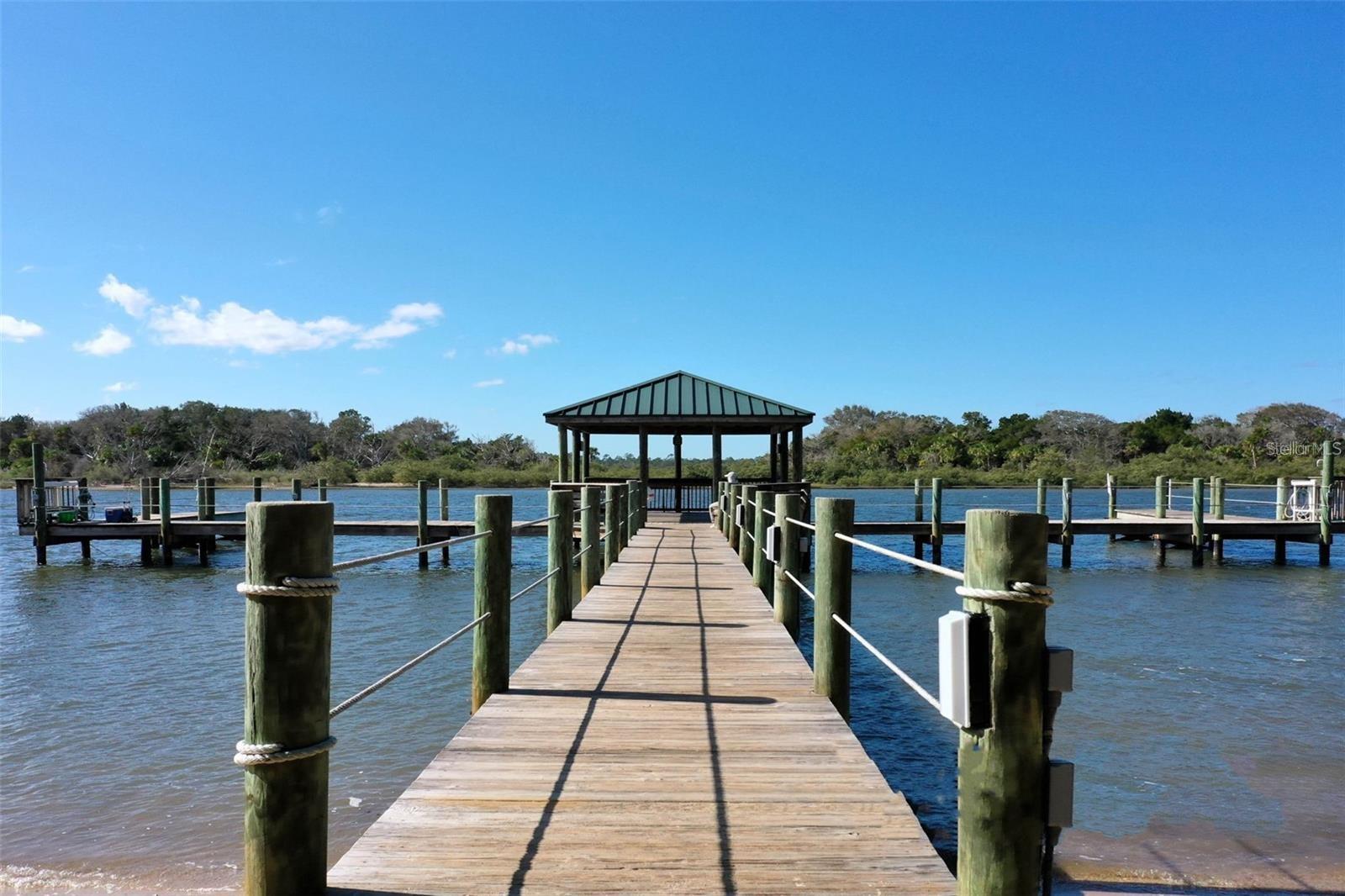 Single Family Residence at 41 LOS LAGOS BLVD, PALM COAST, photo 52 of 90