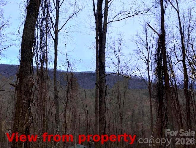 Lot at 89 Weeping Cherry Forest Road, Fairview, photo 2 of 9