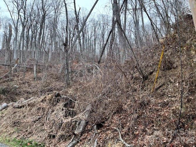 Lot at 65 Weeping Cherry Forest Road, Fairview, photo 2 of 8