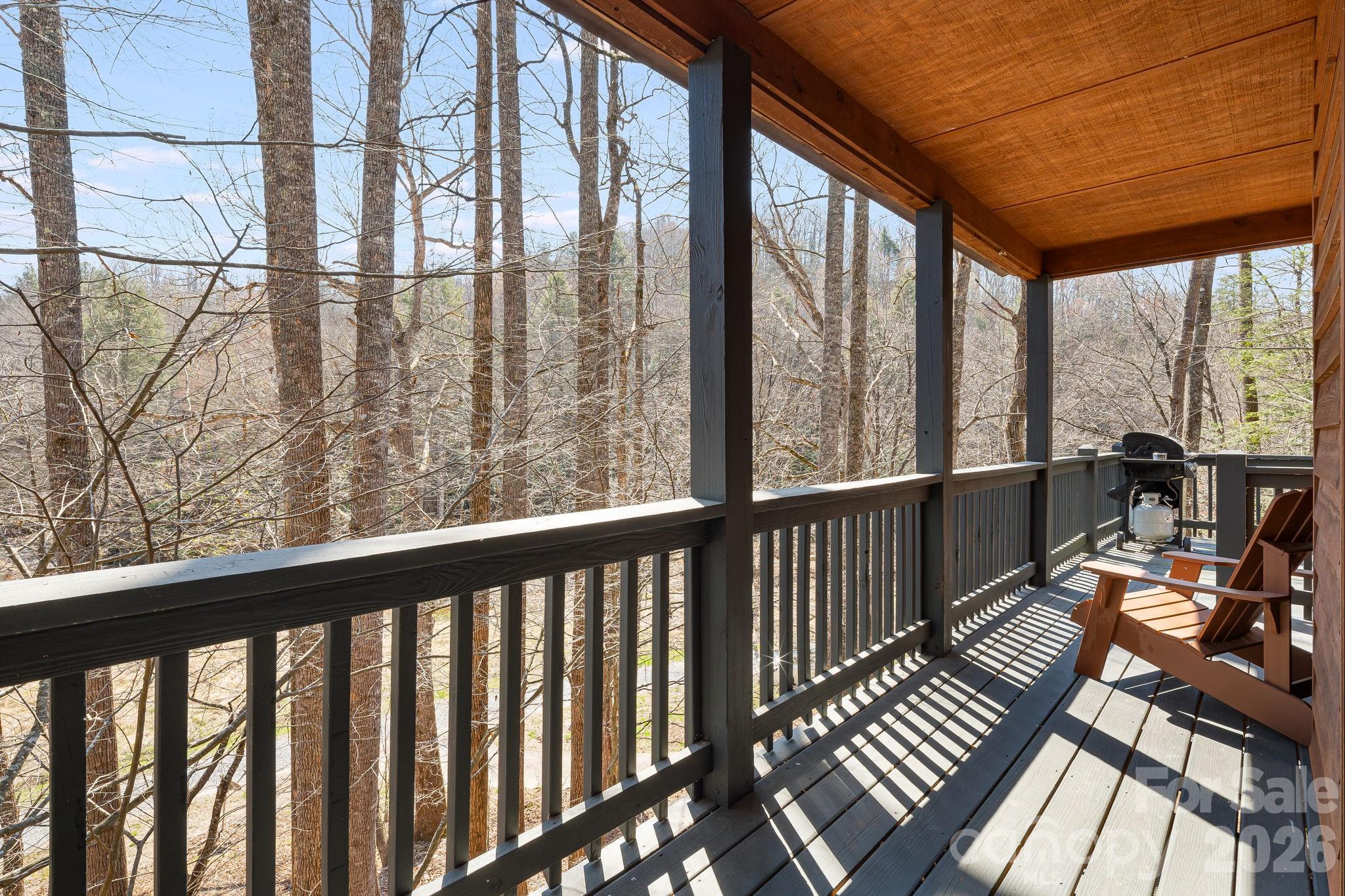 Single Family Residence at 41 Gold Anchor Lane, Black Mountain, photo 4 of 31