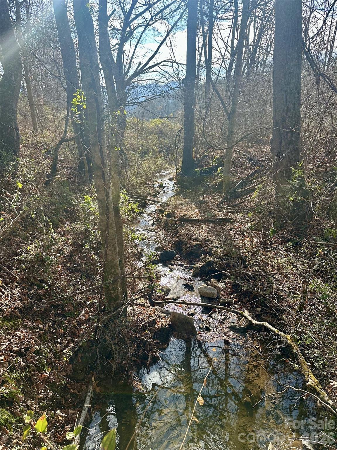 creek runs along side of upper portion and through lower portion of 33 acres - 00 Queen Cove Road, Waynesville