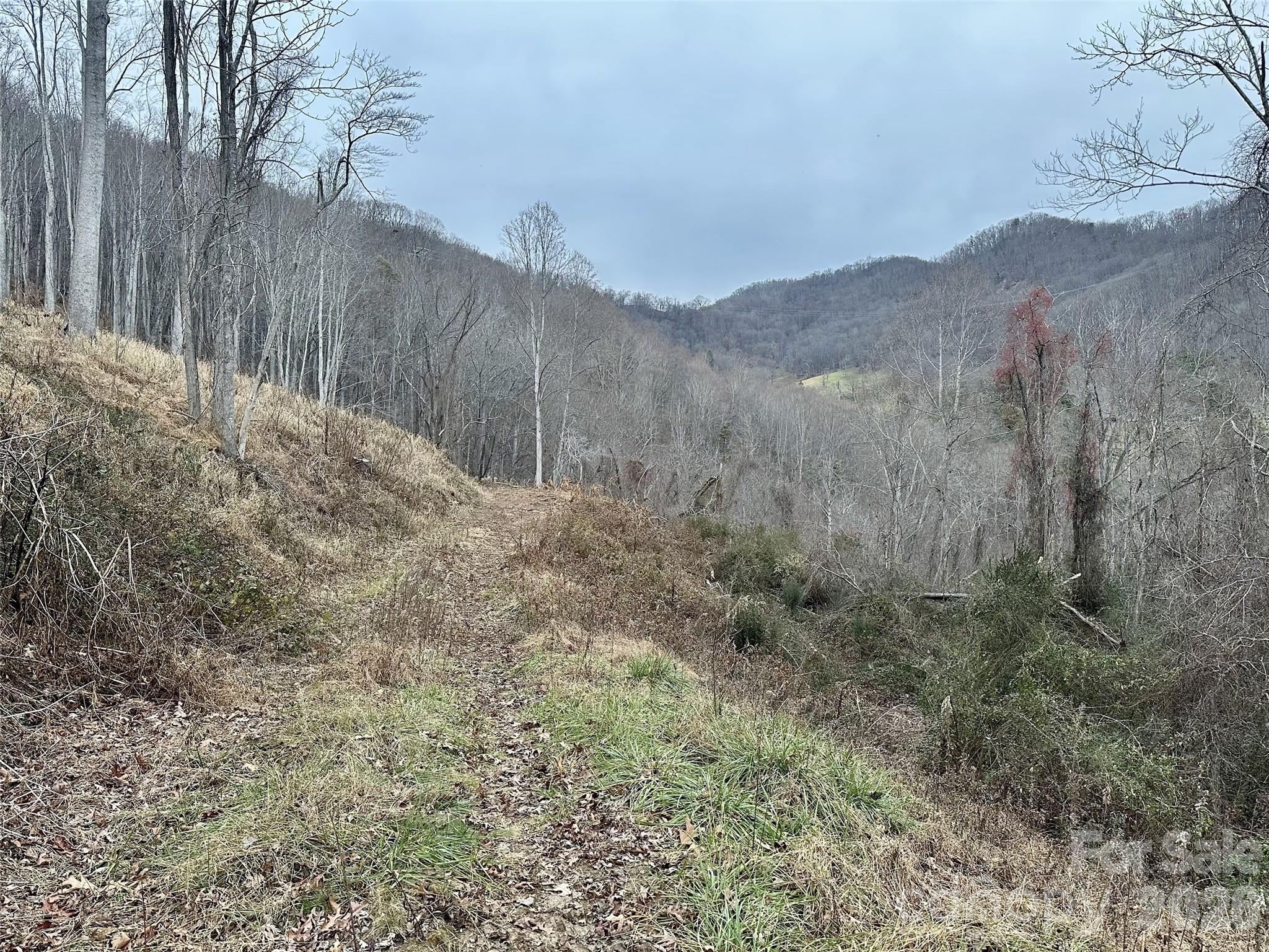 Acreage at 00 Queen Cove Road, Waynesville, photo 14 of 17