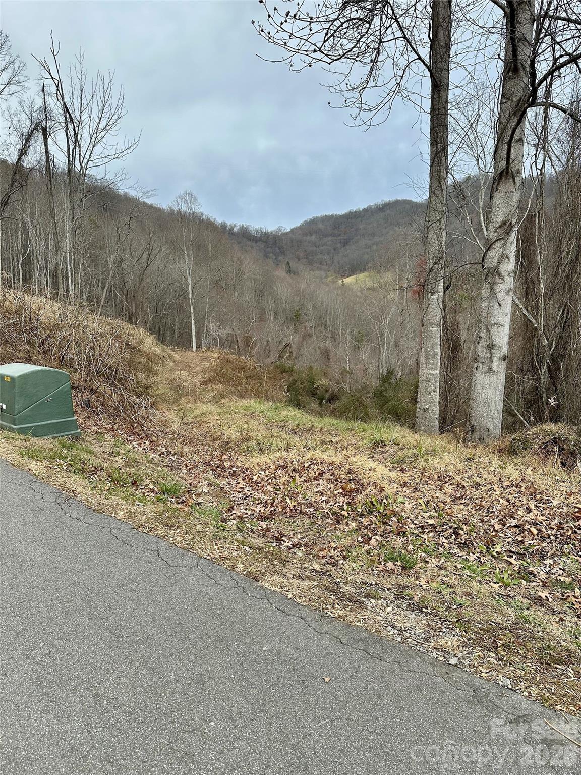 Acreage at 00 Queen Cove Road, Waynesville, photo 15 of 17