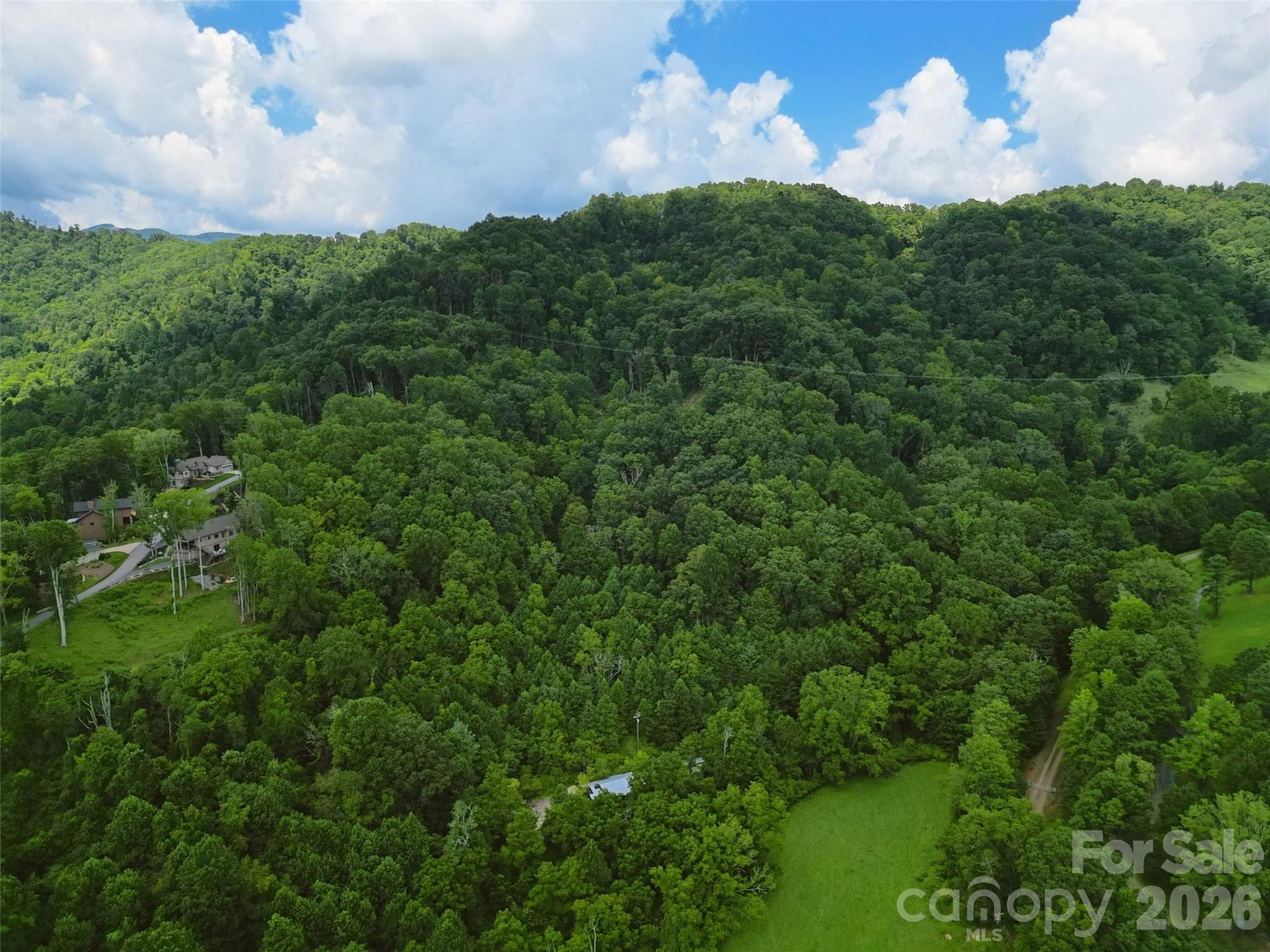 Acreage at 00 Queen Cove Road, Waynesville, photo 12 of 17