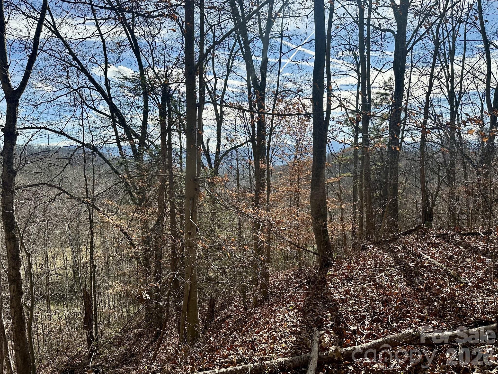 Acreage at 00 Queen Cove Road, Waynesville, photo 16 of 17