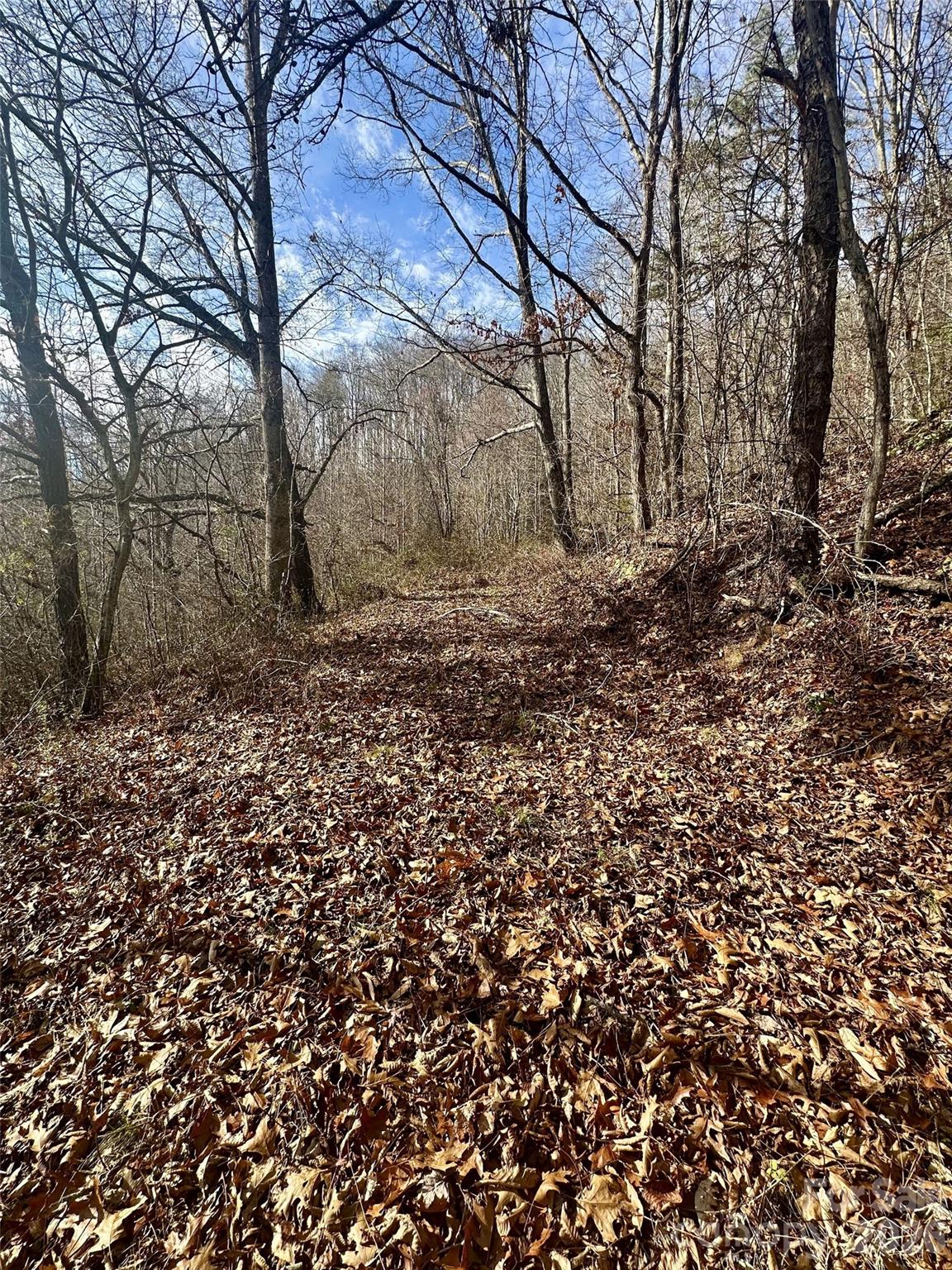 wonderful privacy lends itself to an idyllic estate setting - 00 Queen Cove Road, Waynesville