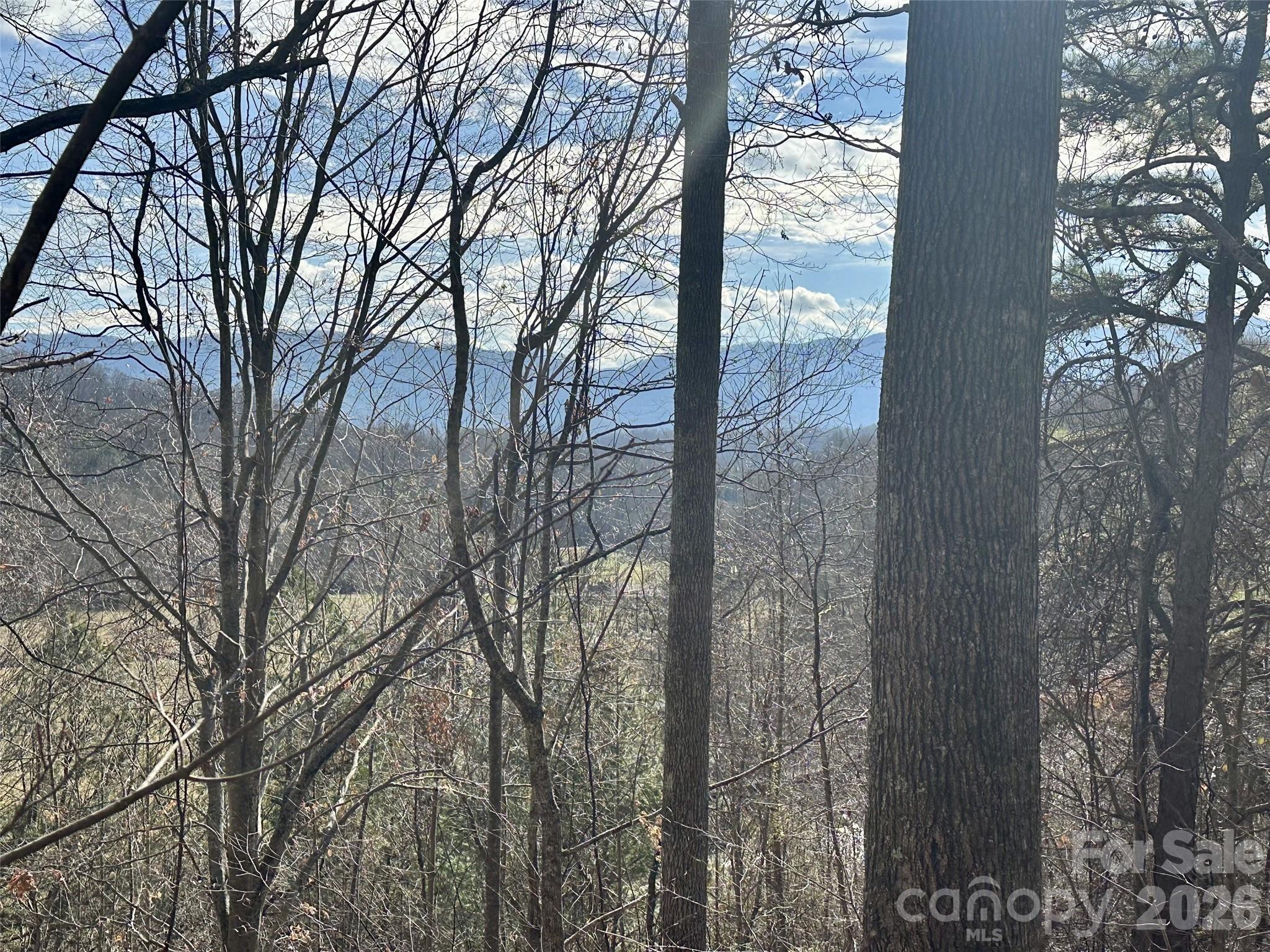 amazing view potential - 00 Queen Cove Road, Waynesville