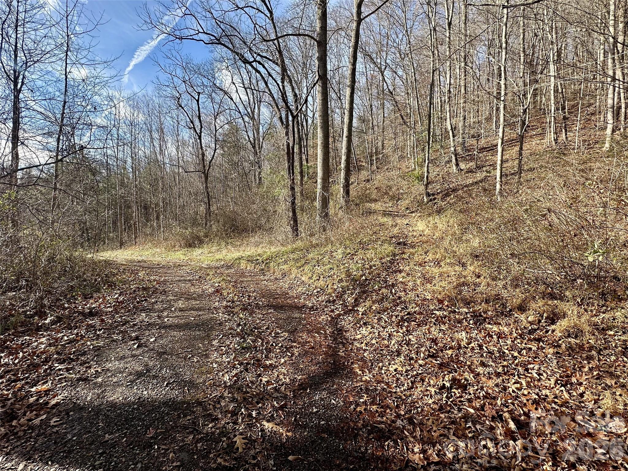 wide potential driveways in place - 00 Queen Cove Road, Waynesville