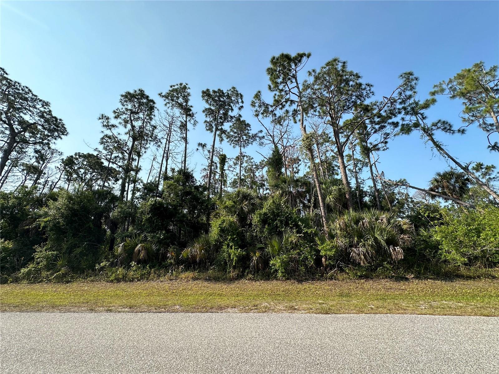 Land at 18038 YORK AVE, PORT CHARLOTTE