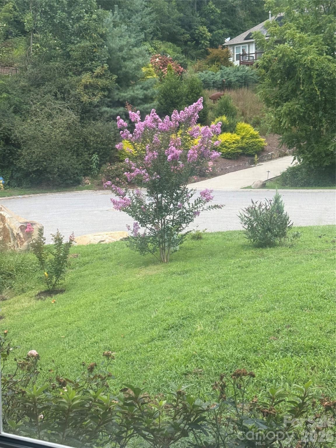 Side Yard - 46 Carden Drive, Weaverville