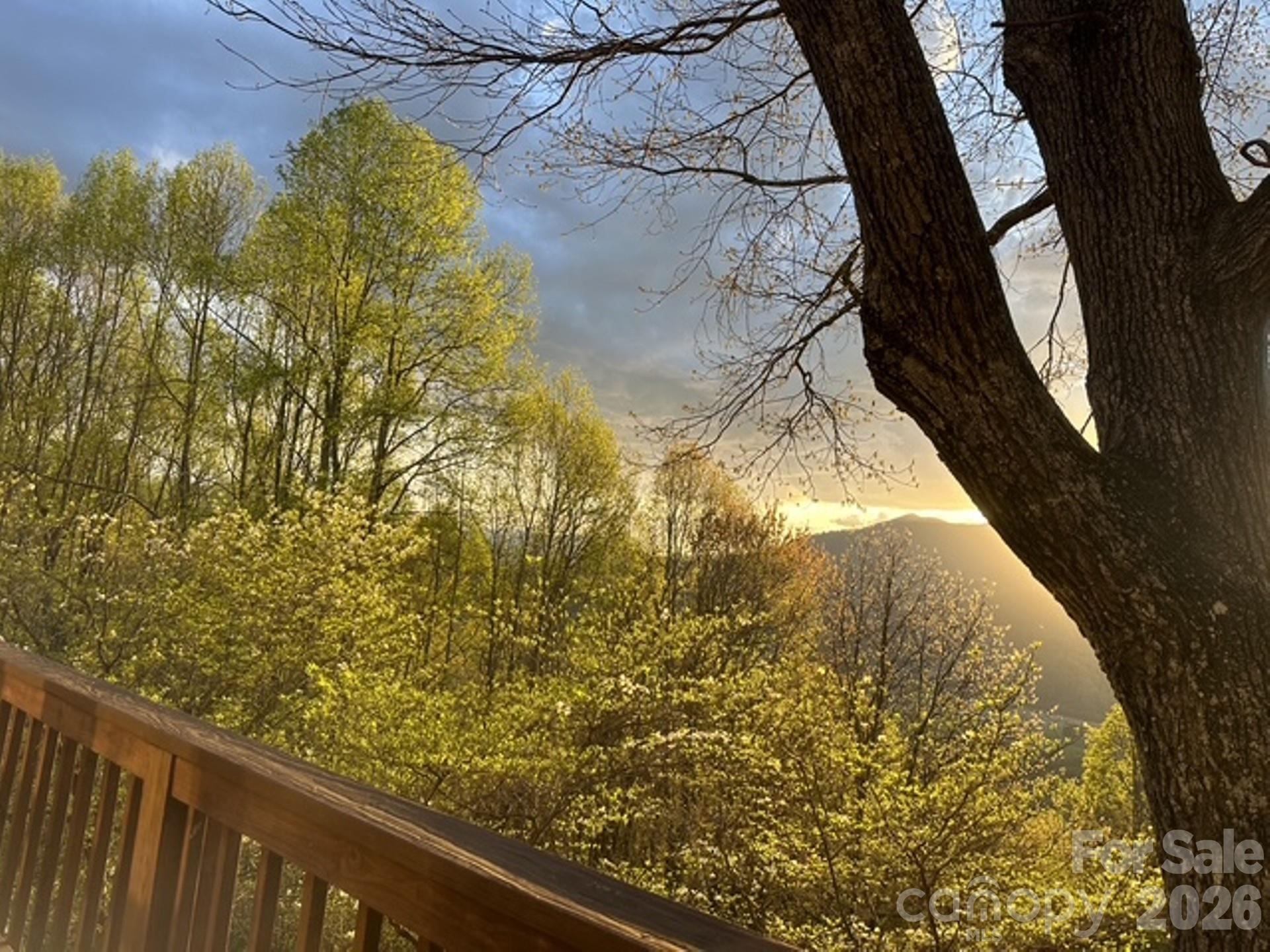 Single Family Residence at 415 Treetop Lane, Waynesville, photo 4 of 47
