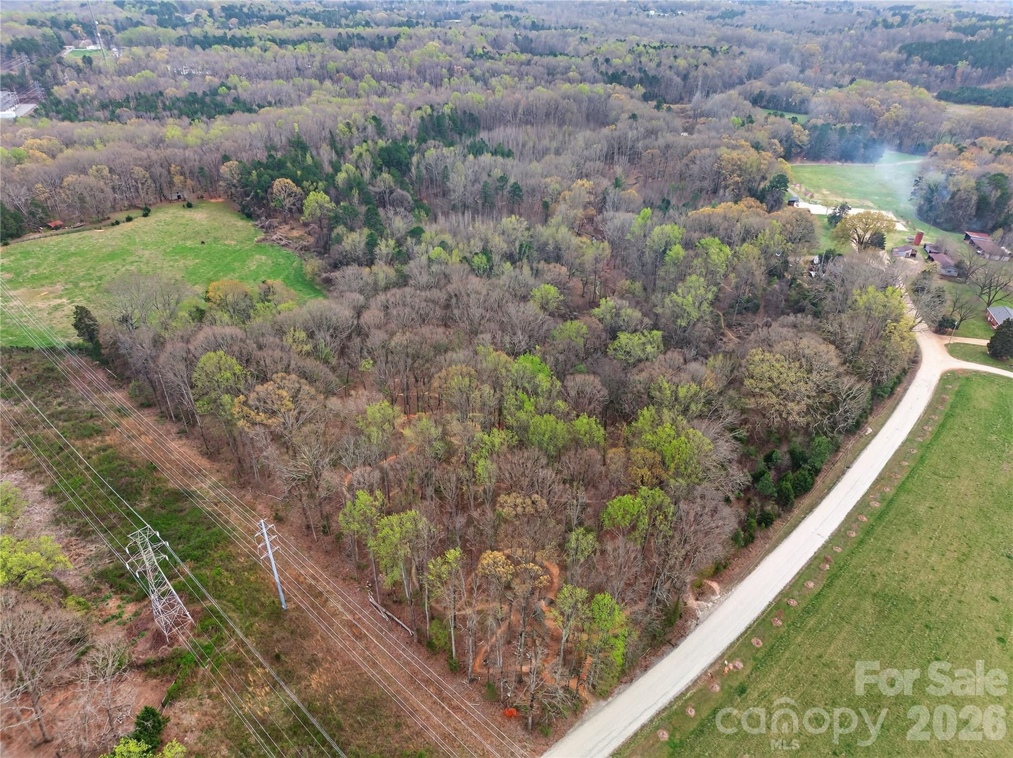 Native woodlands - 20926 Fisher Road, Davidson