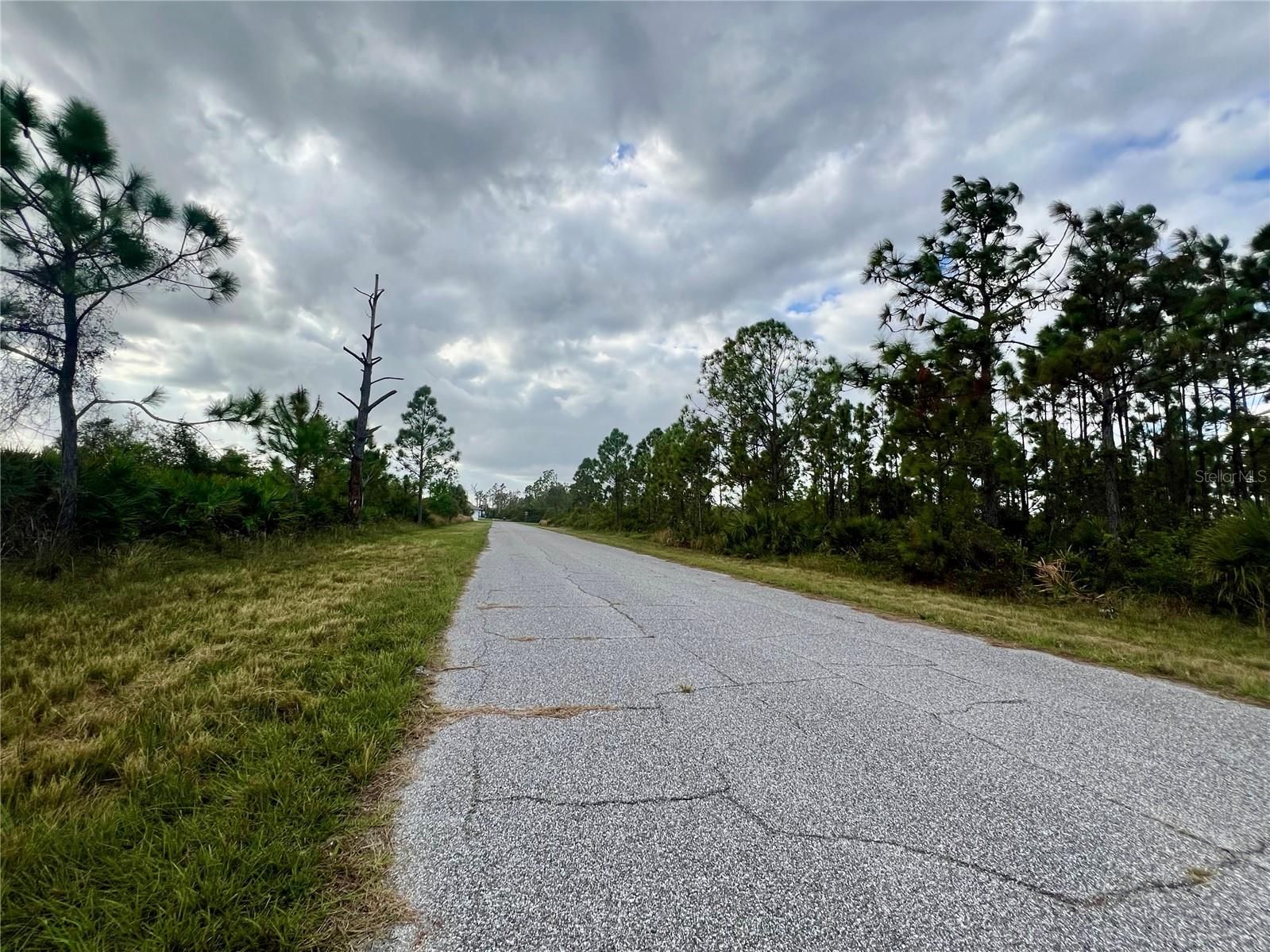 Land at 12093 GALLOP AVE, PORT CHARLOTTE, photo 2 of 4