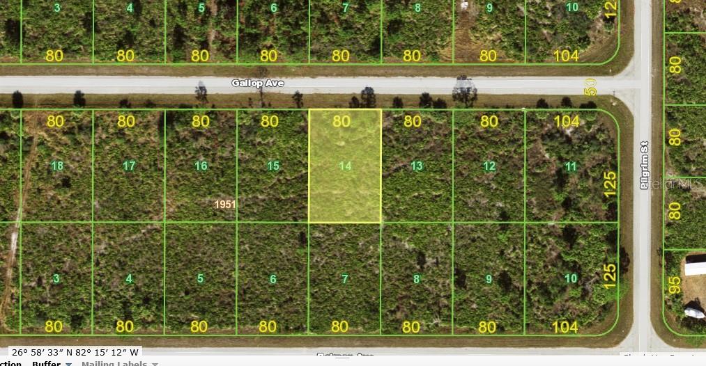 Land at 12093 GALLOP AVE, PORT CHARLOTTE, photo 4 of 4