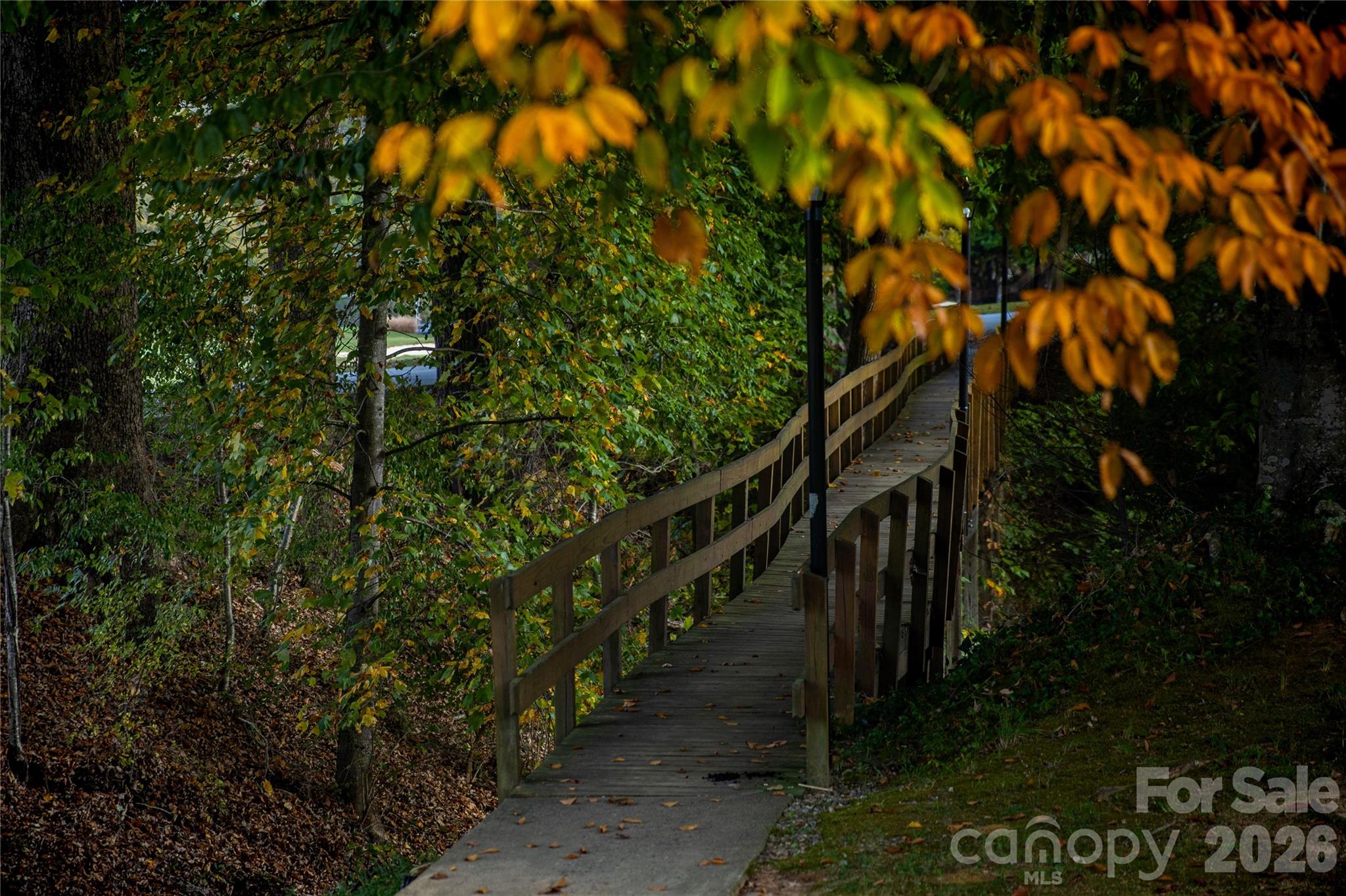 Walking Trails - 456 Youngs Mountain Drive, Lake Lure