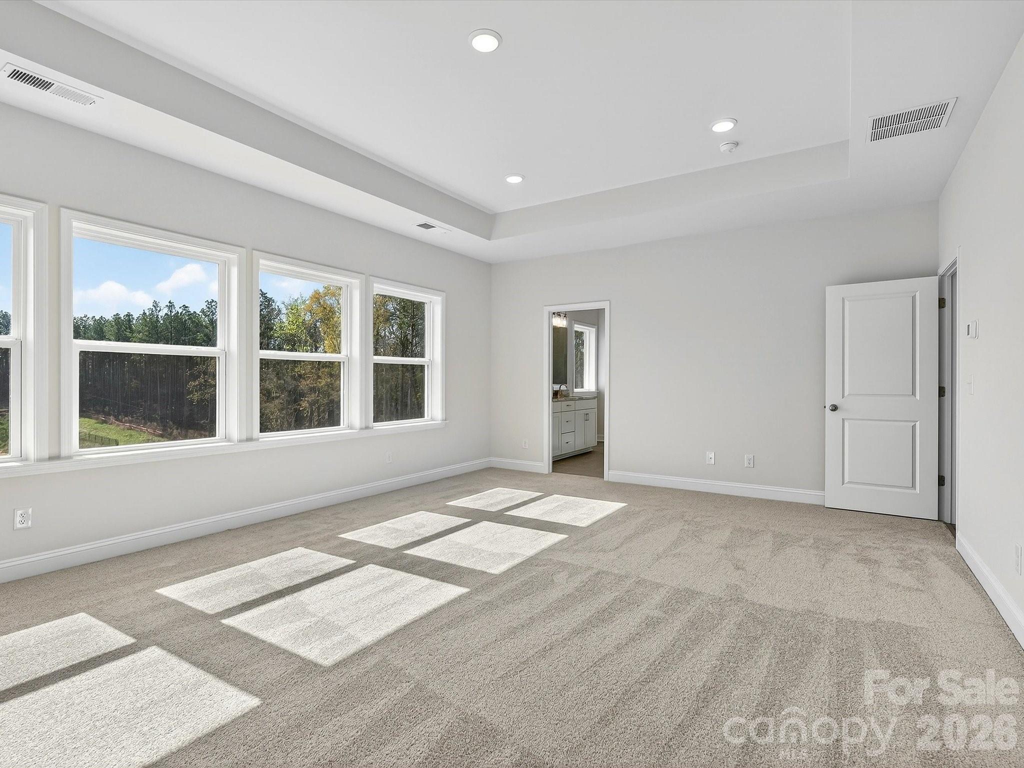 Abundance of Natural Light and Tray Ceiling - 356 Portree Street, Rock Hill