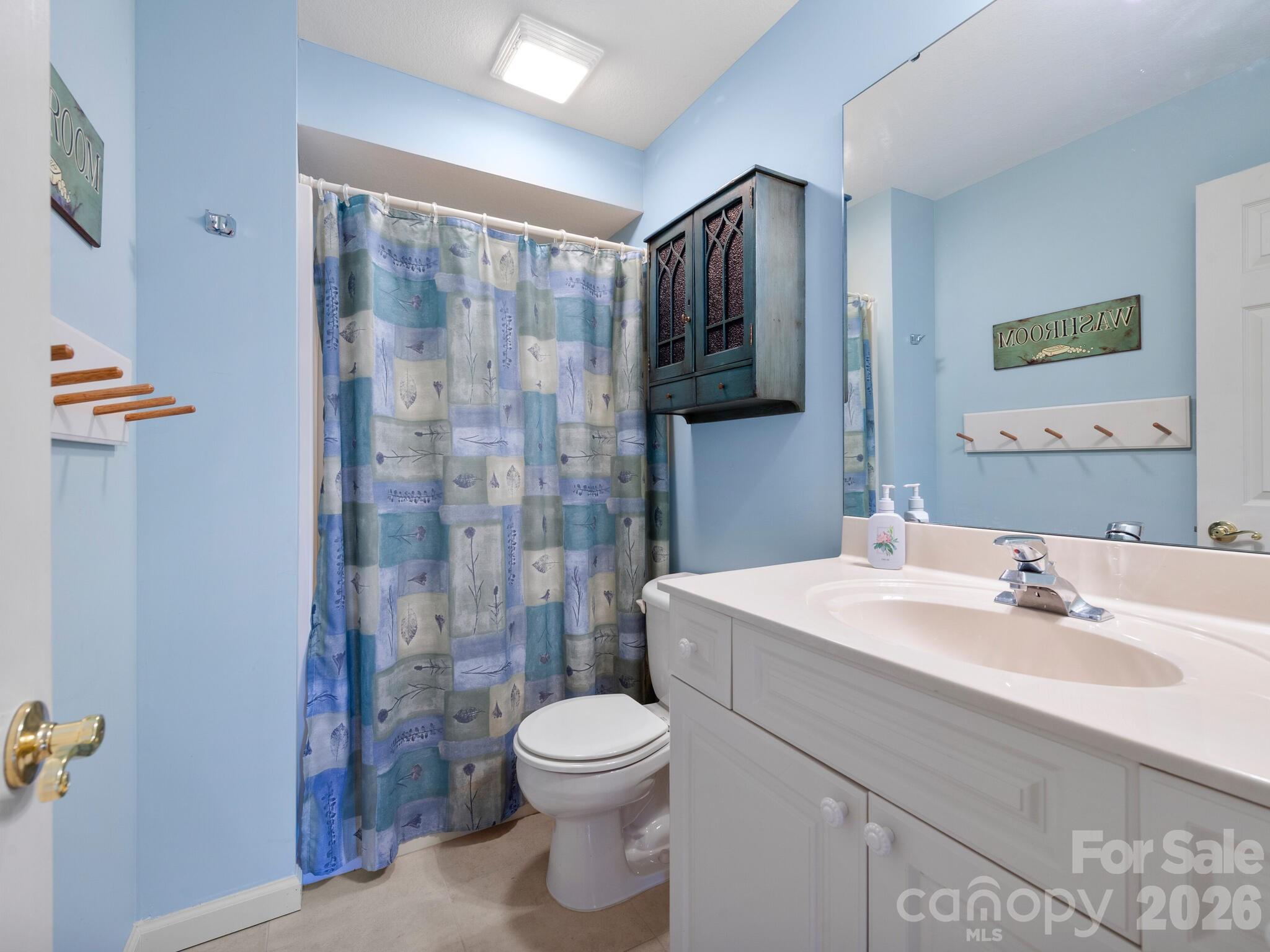 Lower Level Full Bathroom - 17 Ashton Forest Court, Hendersonville