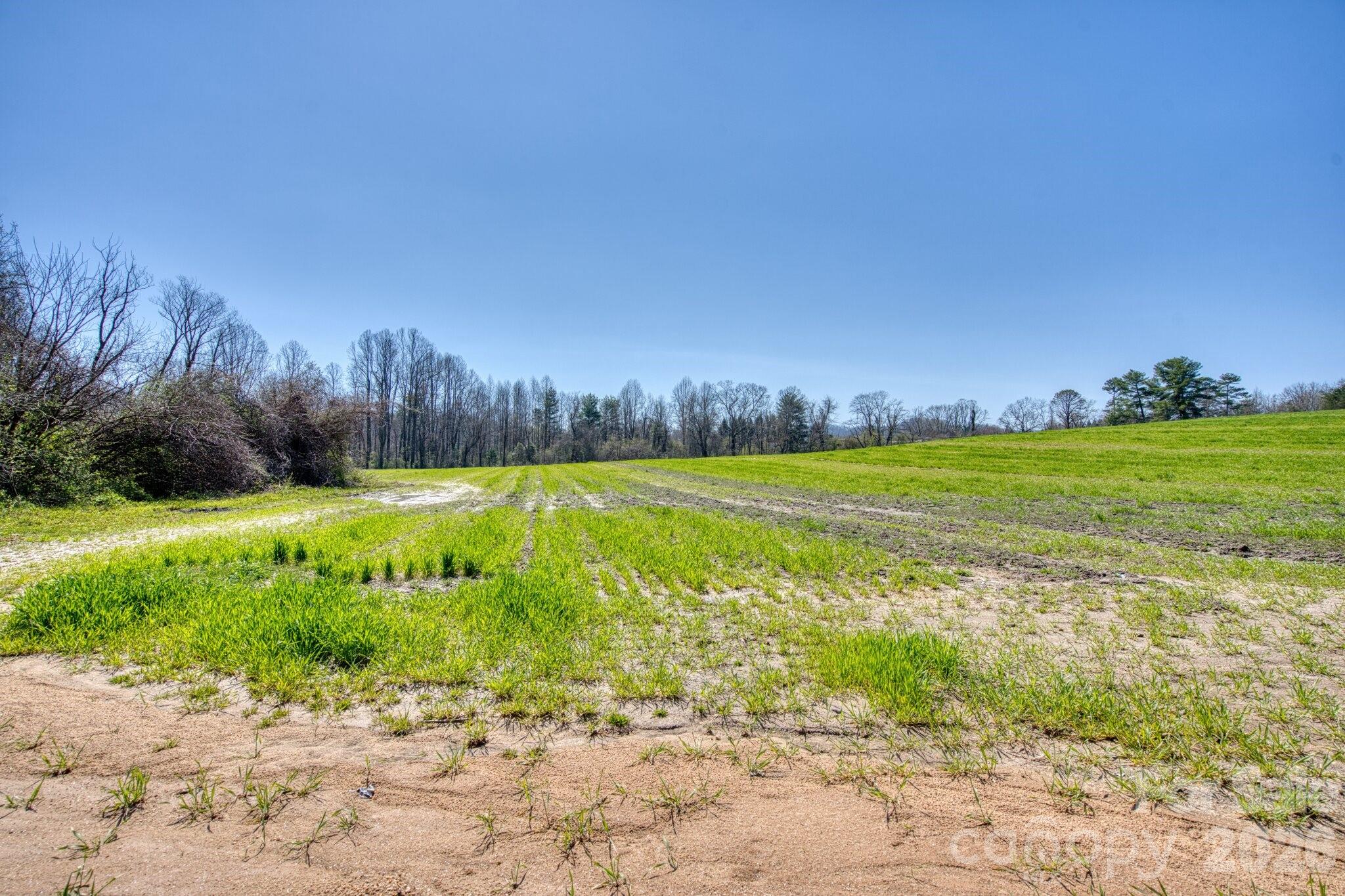 Acreage at TBD Mohican Trail, Hendersonville, photo 4 of 33