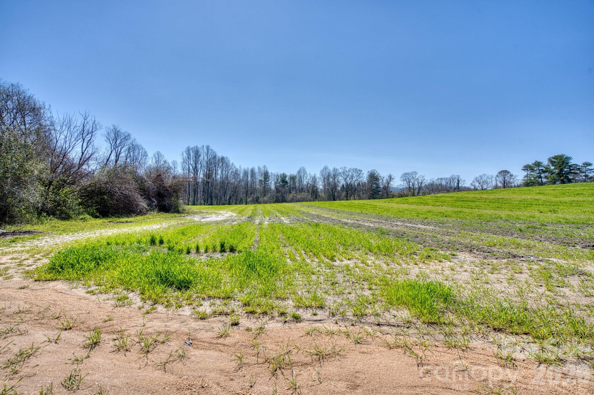 Acreage at TBD Mohican Trail, Hendersonville, photo 5 of 33
