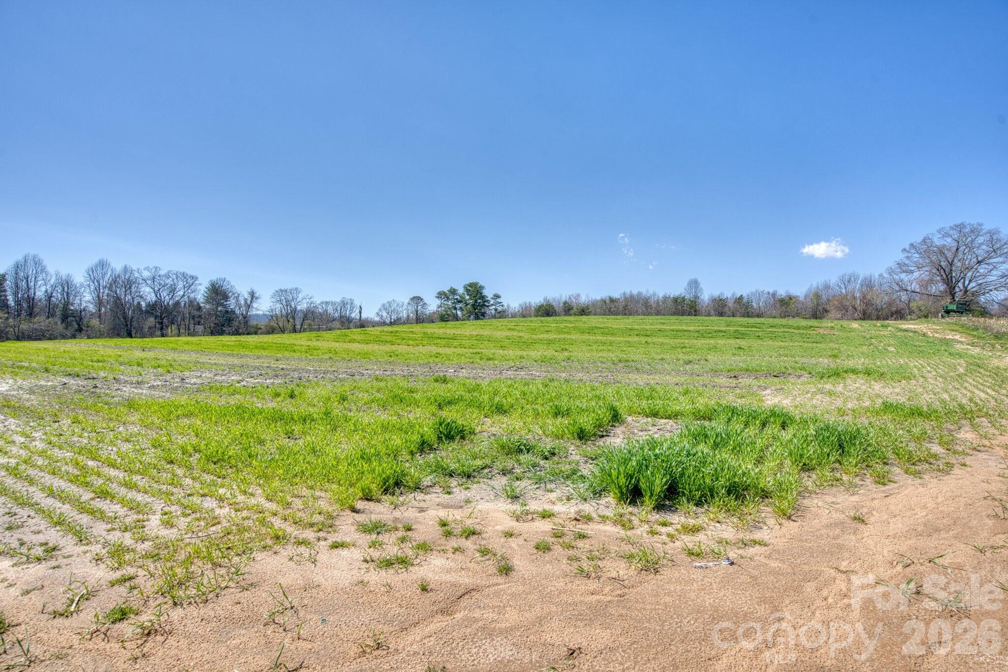 Acreage at TBD Mohican Trail, Hendersonville, photo 7 of 33