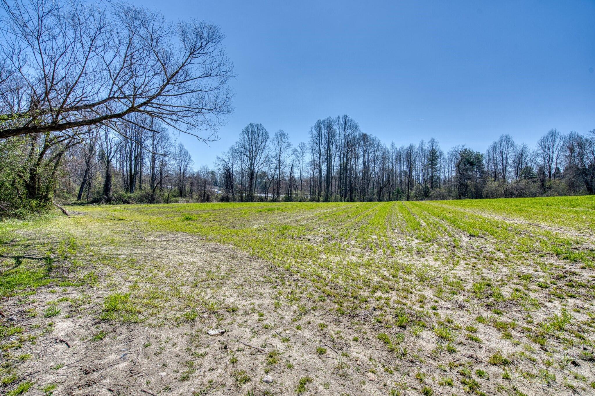 Acreage at TBD Mohican Trail, Hendersonville, photo 8 of 33