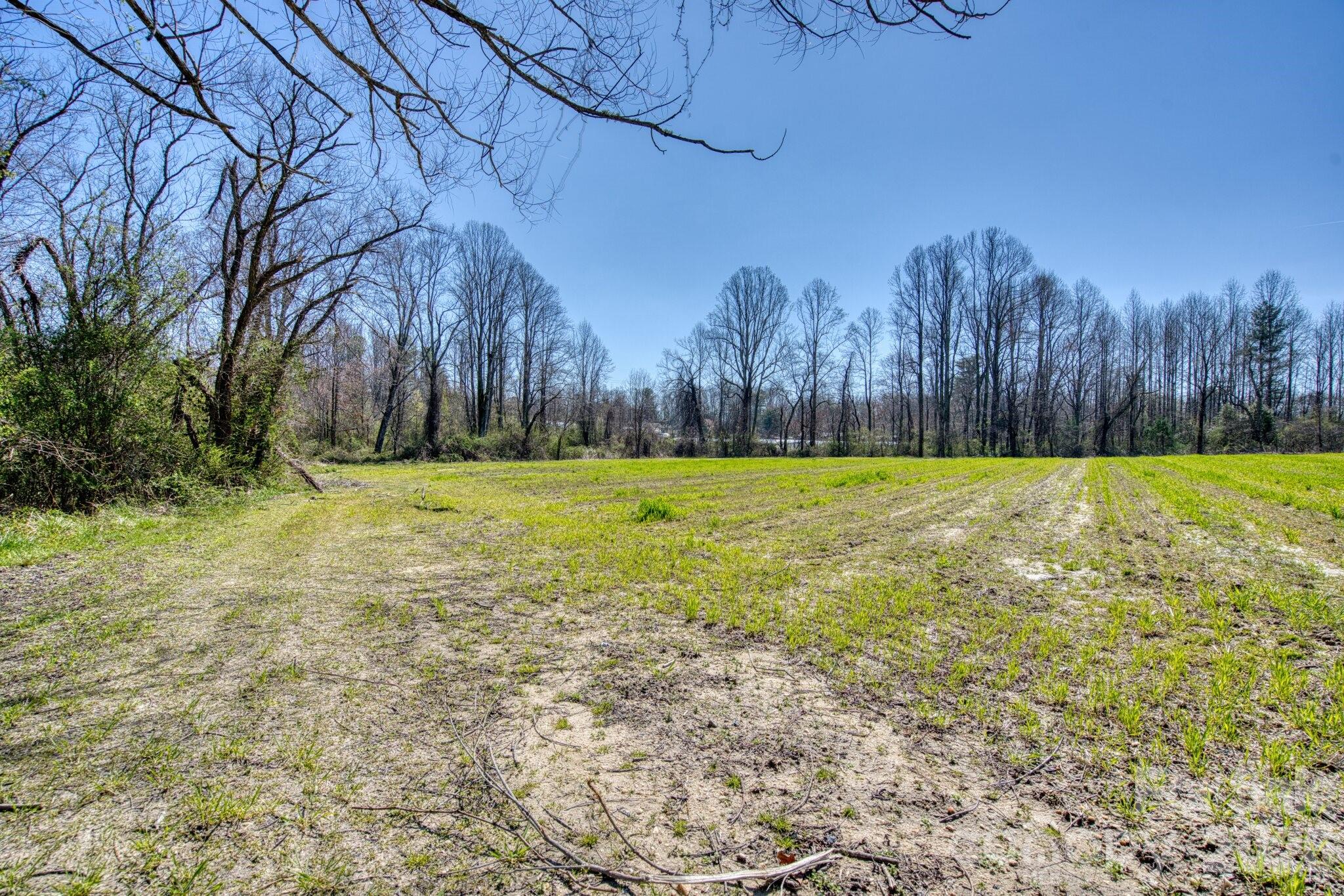 Acreage at TBD Mohican Trail, Hendersonville, photo 9 of 33
