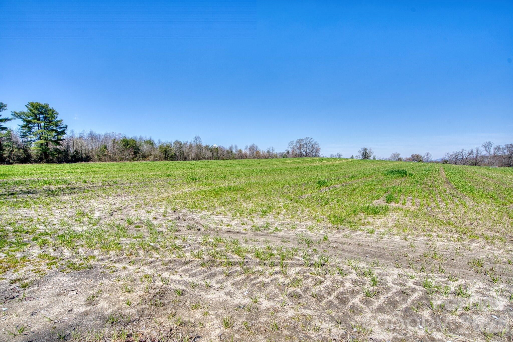 Acreage at TBD Mohican Trail, Hendersonville, photo 16 of 33