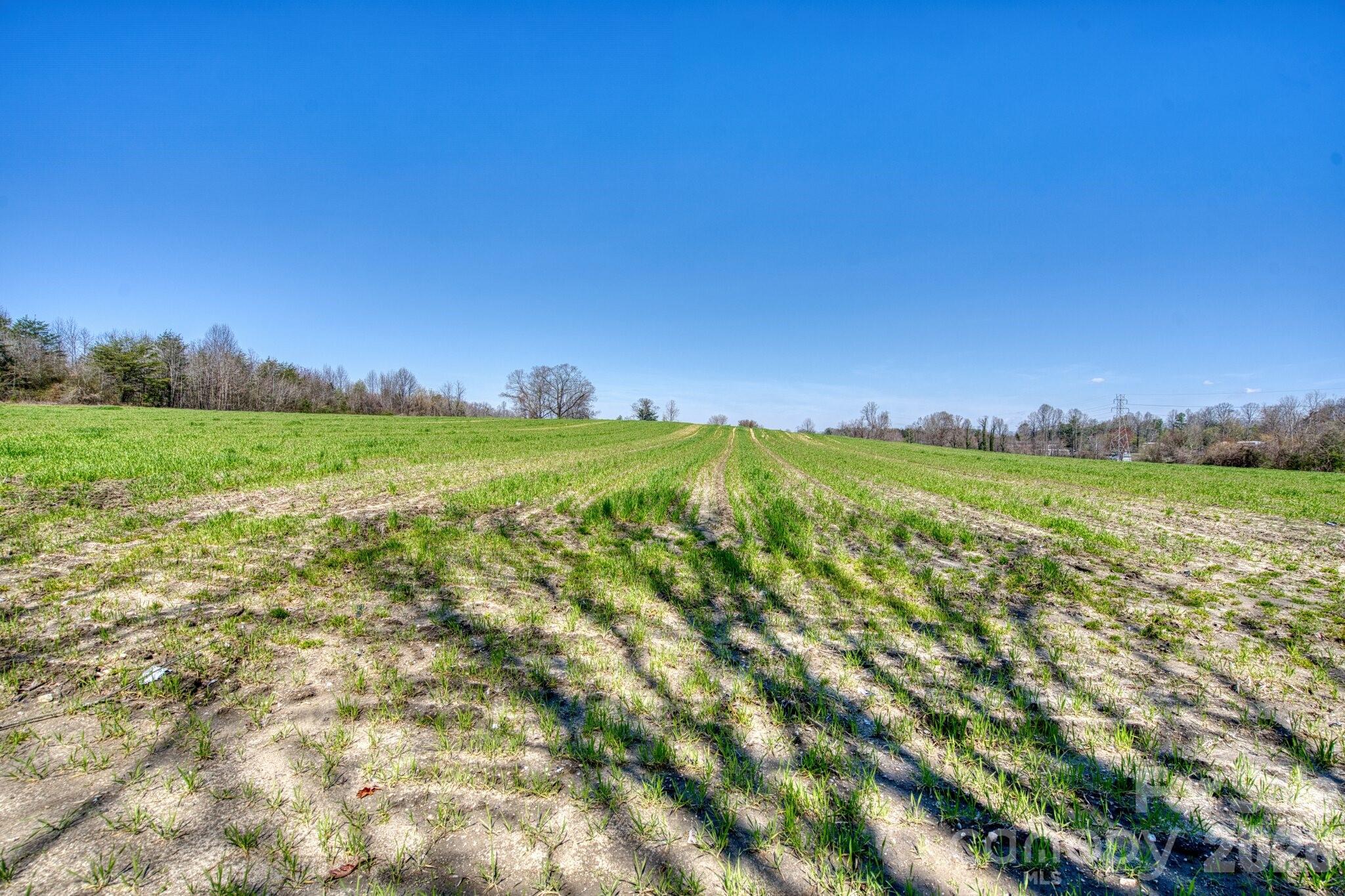 Acreage at TBD Mohican Trail, Hendersonville, photo 17 of 33