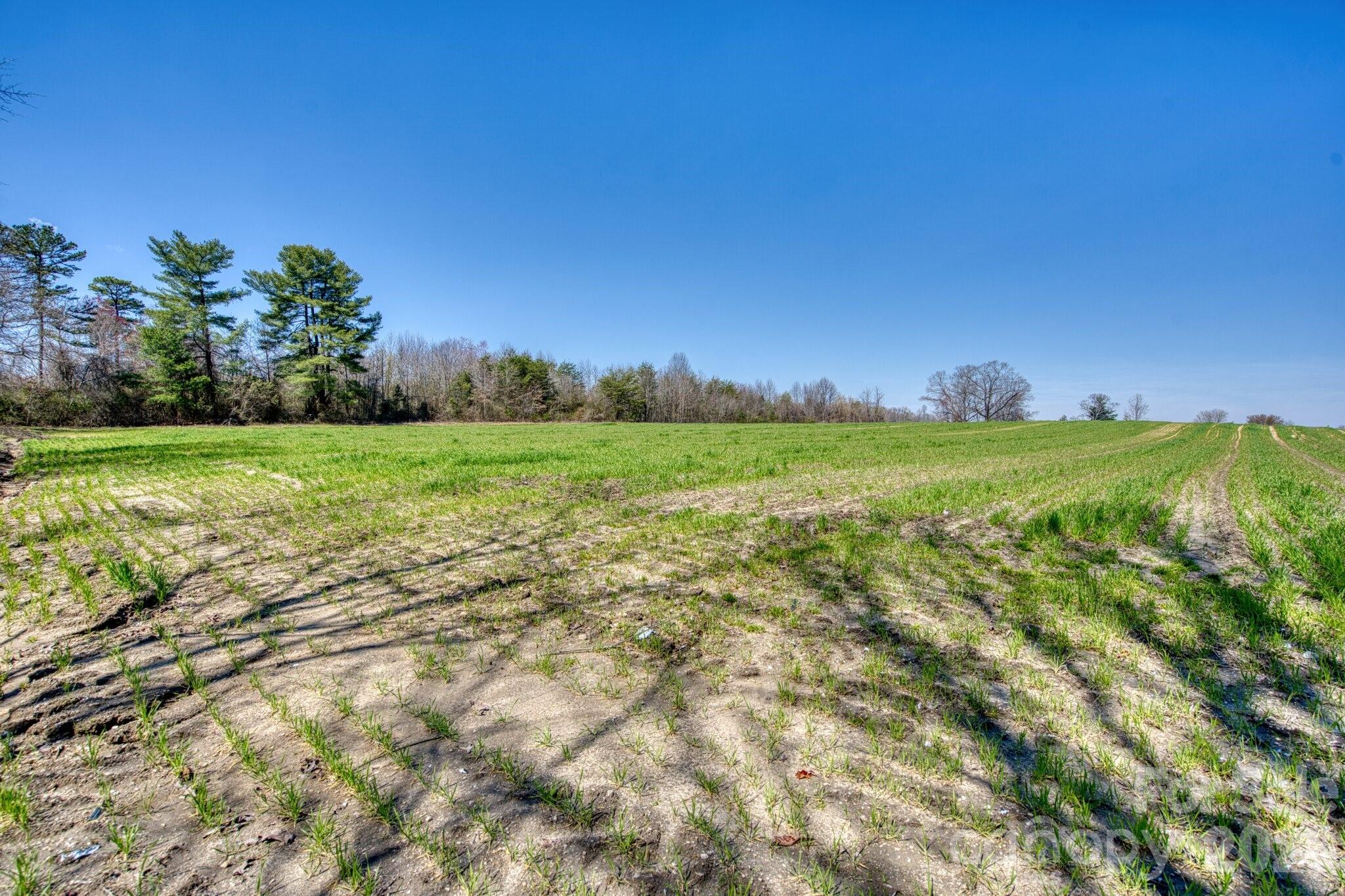Acreage at TBD Mohican Trail, Hendersonville, photo 18 of 33