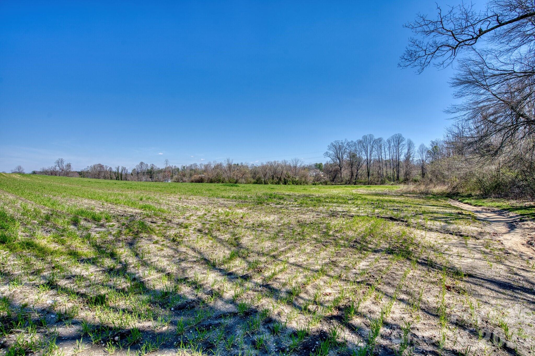 Acreage at TBD Mohican Trail, Hendersonville, photo 19 of 33