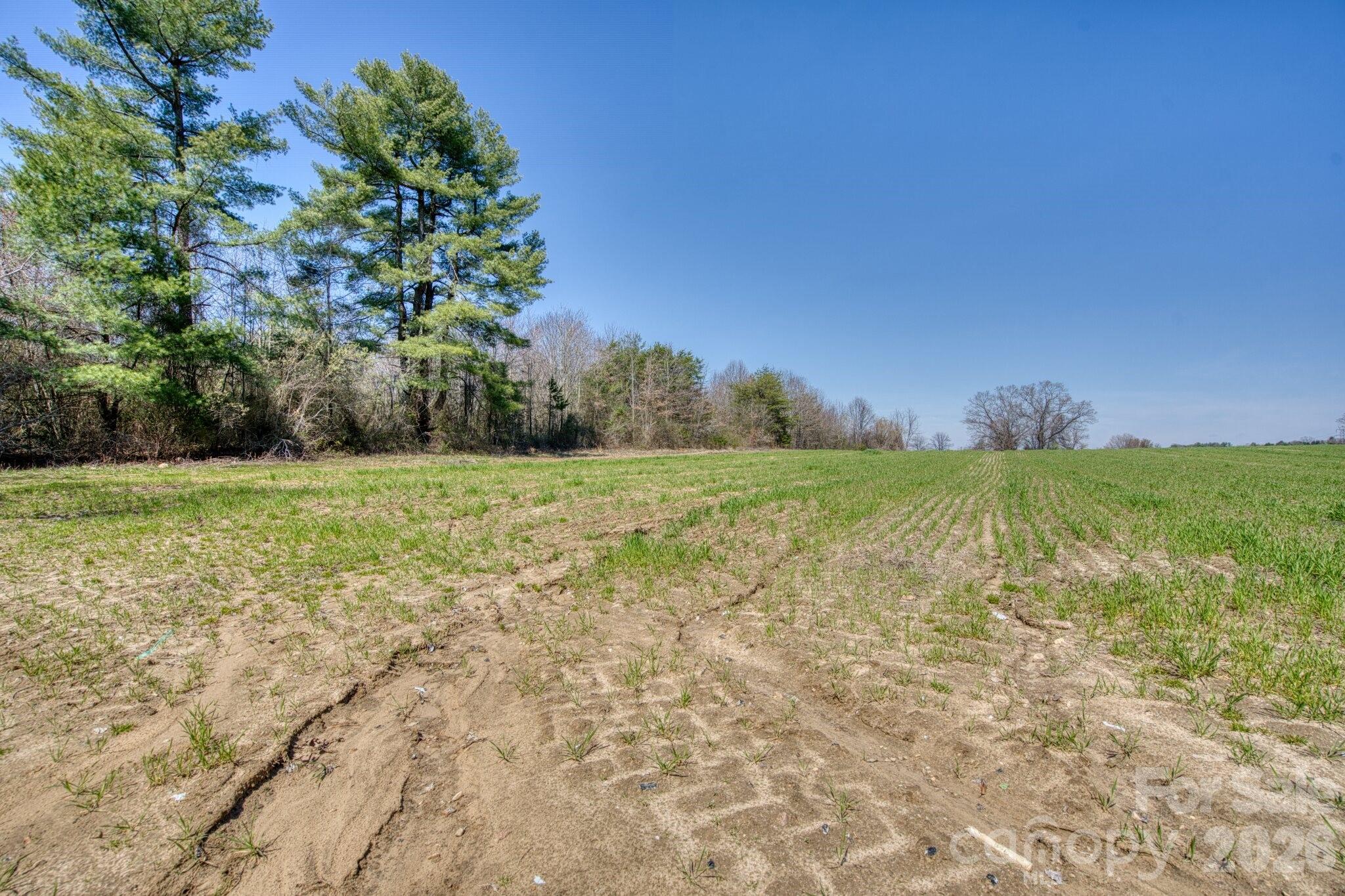 Acreage at TBD Mohican Trail, Hendersonville, photo 21 of 33