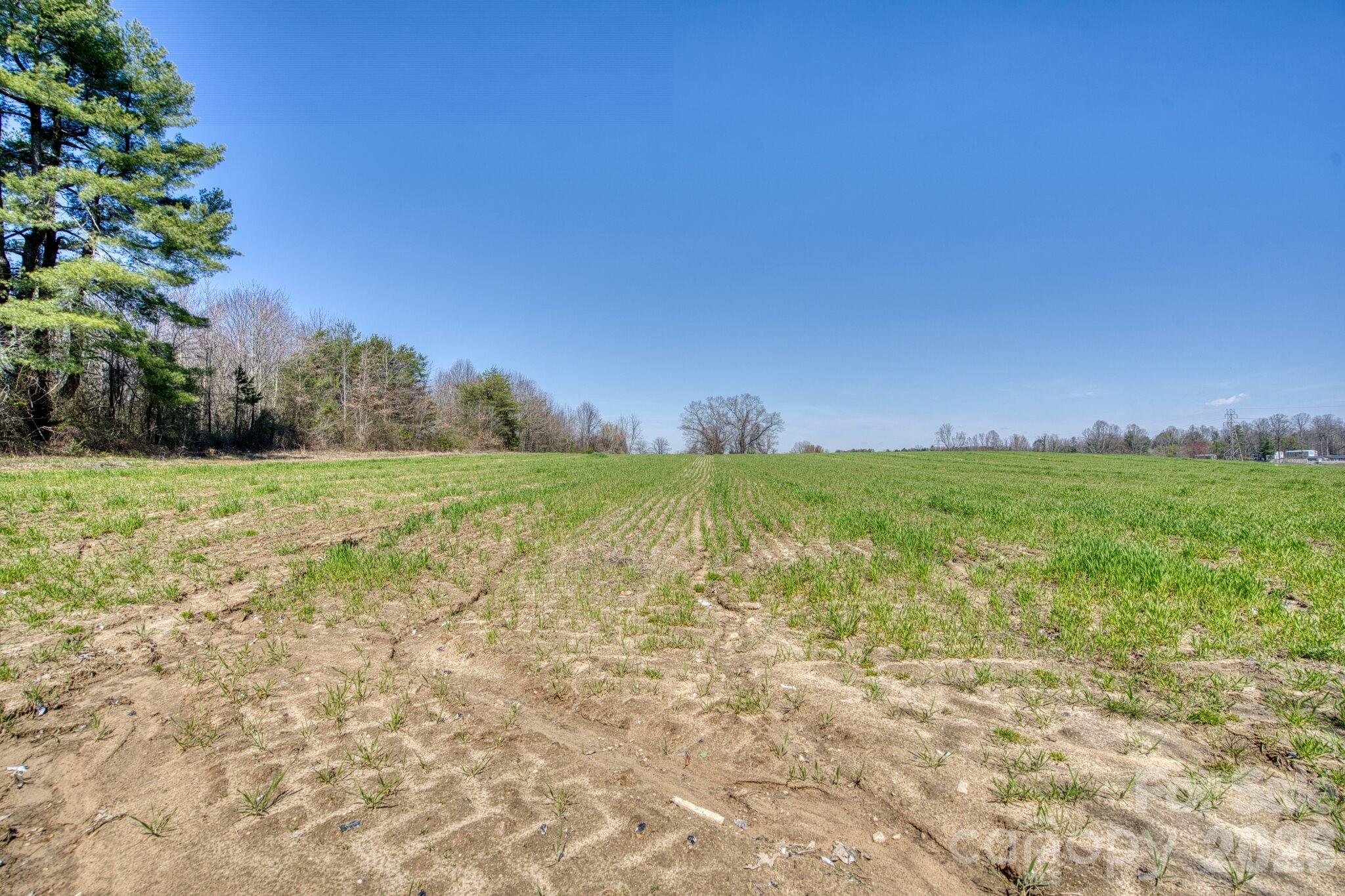 Acreage at TBD Mohican Trail, Hendersonville, photo 22 of 33