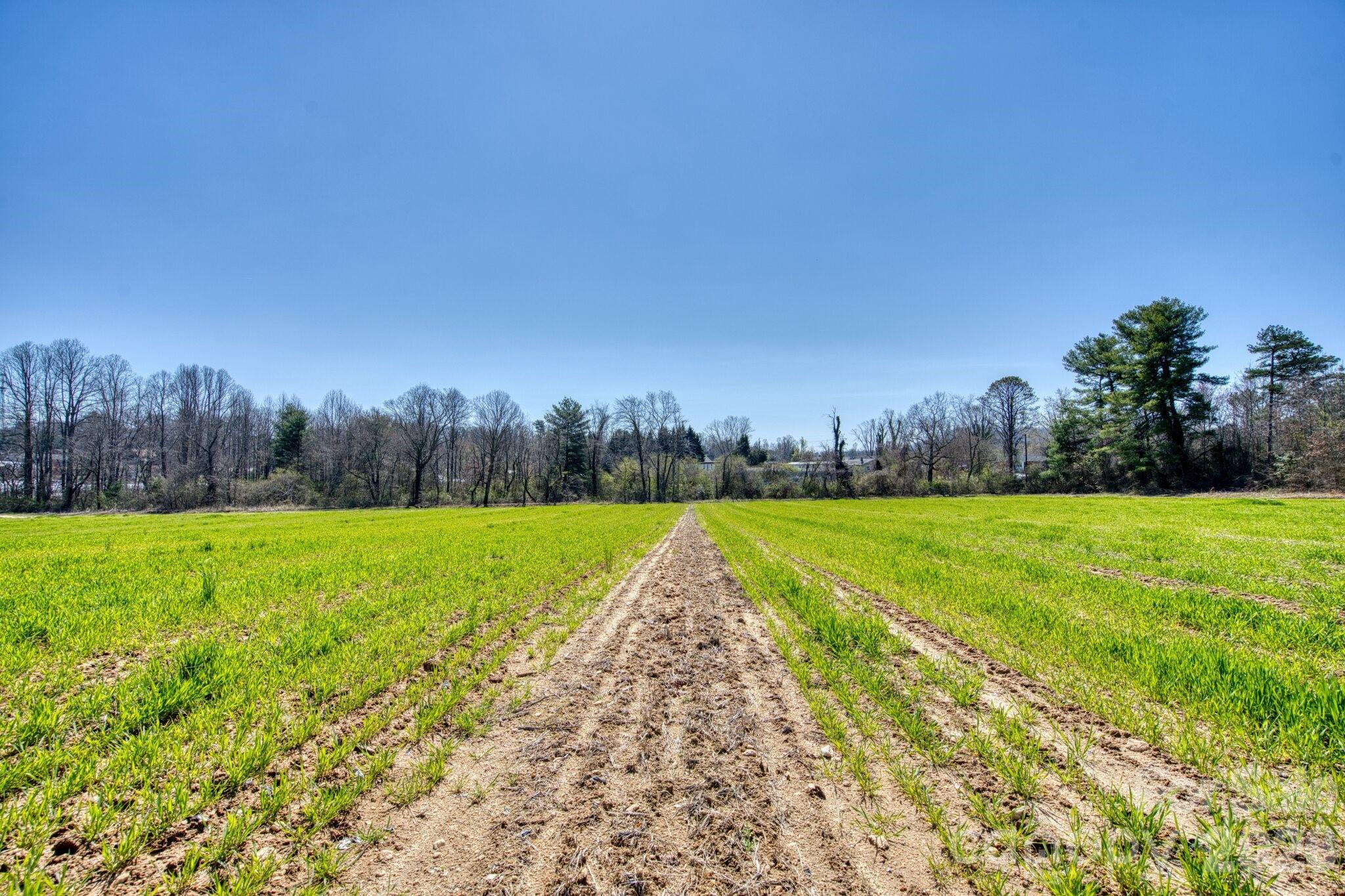 Acreage at TBD Mohican Trail, Hendersonville, photo 27 of 33