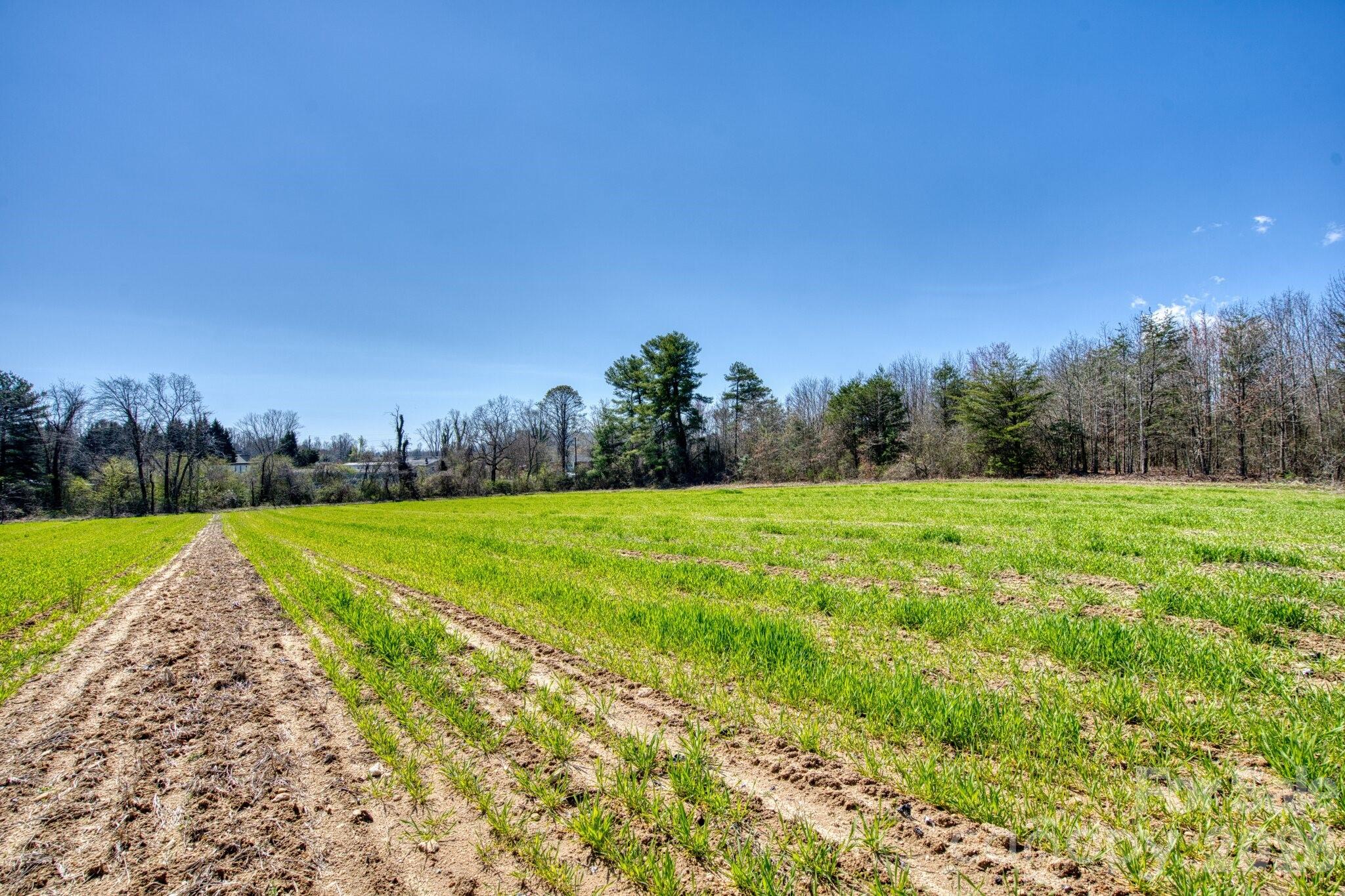 Acreage at TBD Mohican Trail, Hendersonville, photo 28 of 33