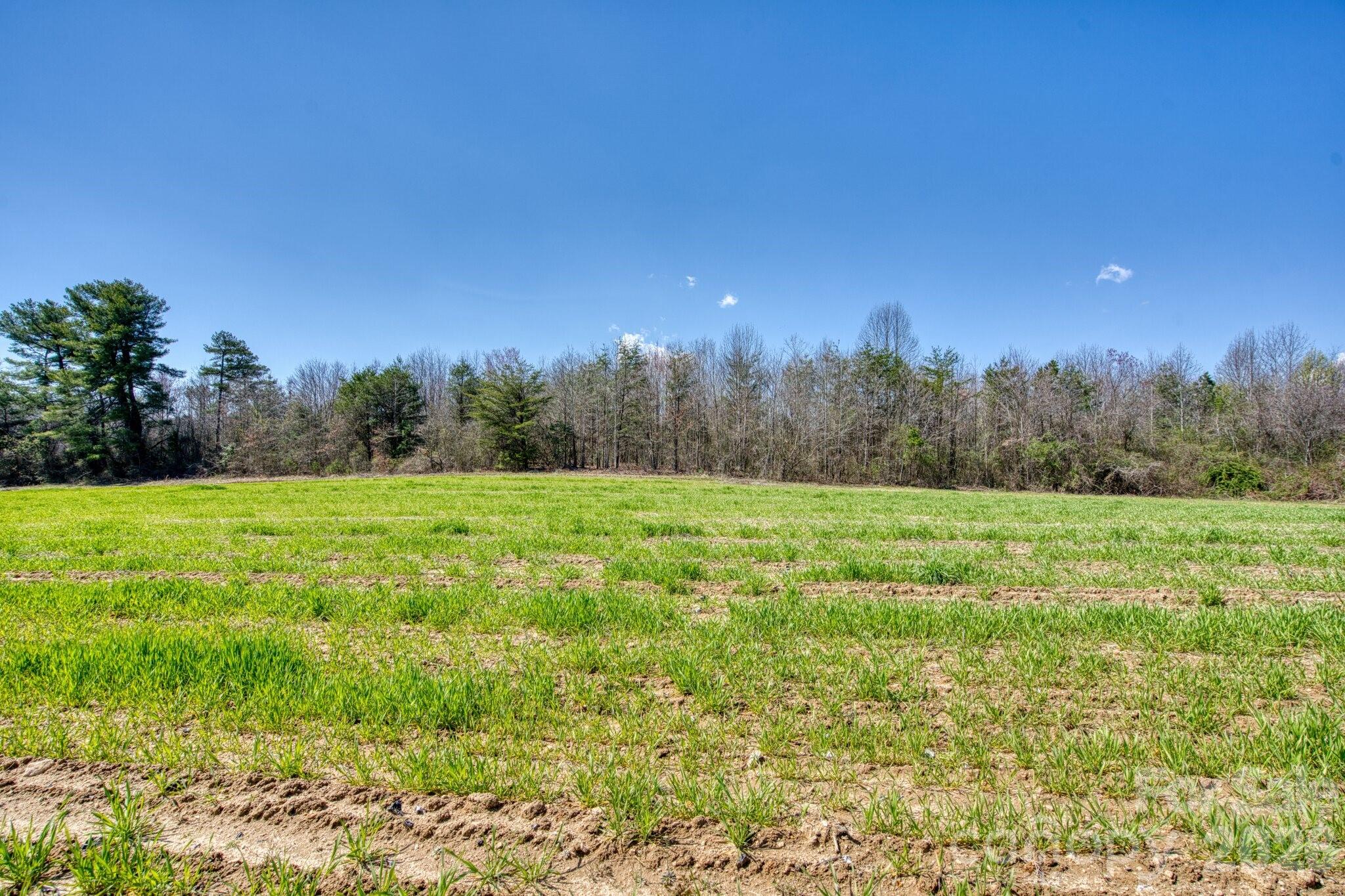 Acreage at TBD Mohican Trail, Hendersonville, photo 29 of 33