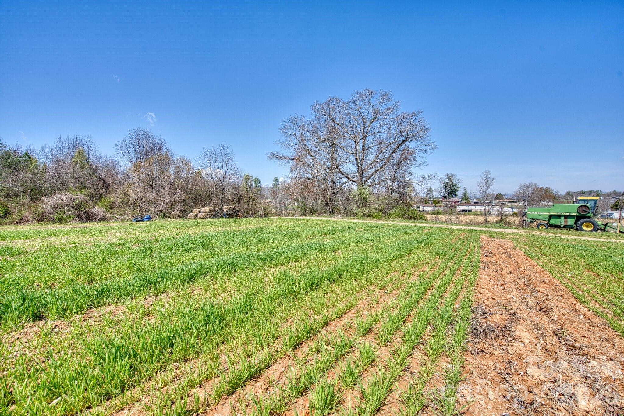 Acreage at TBD Mohican Trail, Hendersonville, photo 31 of 33
