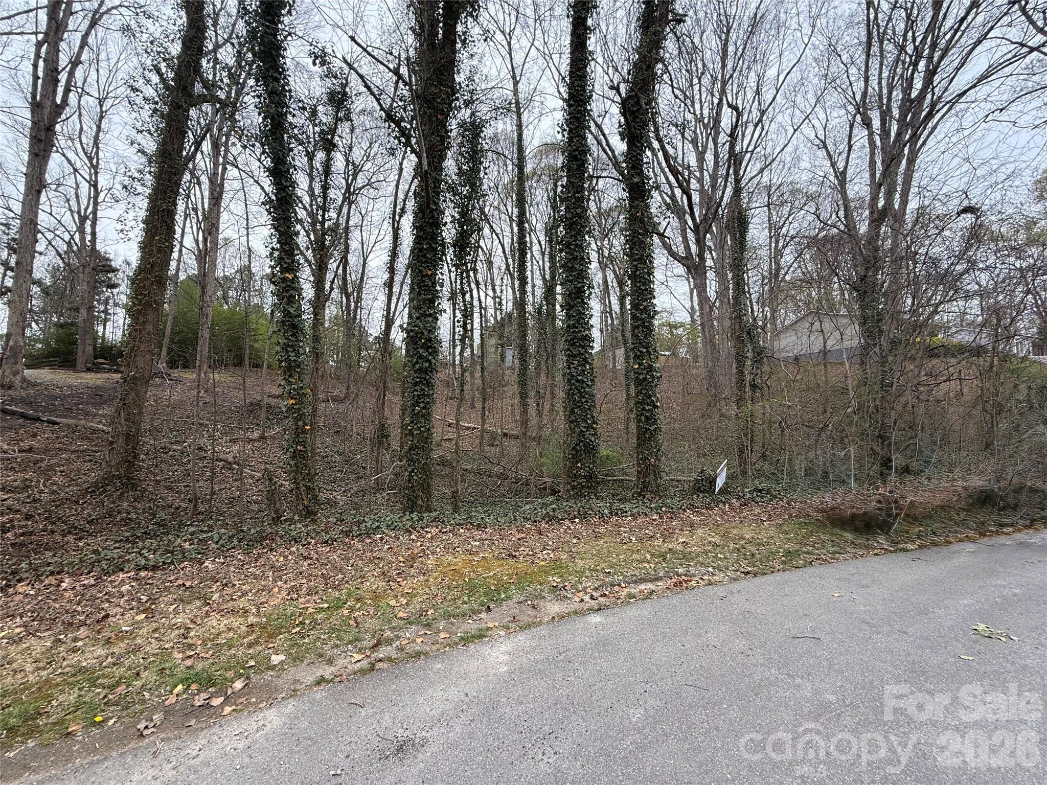 from other angle on the street - 0 Gate Drive, Thomasville