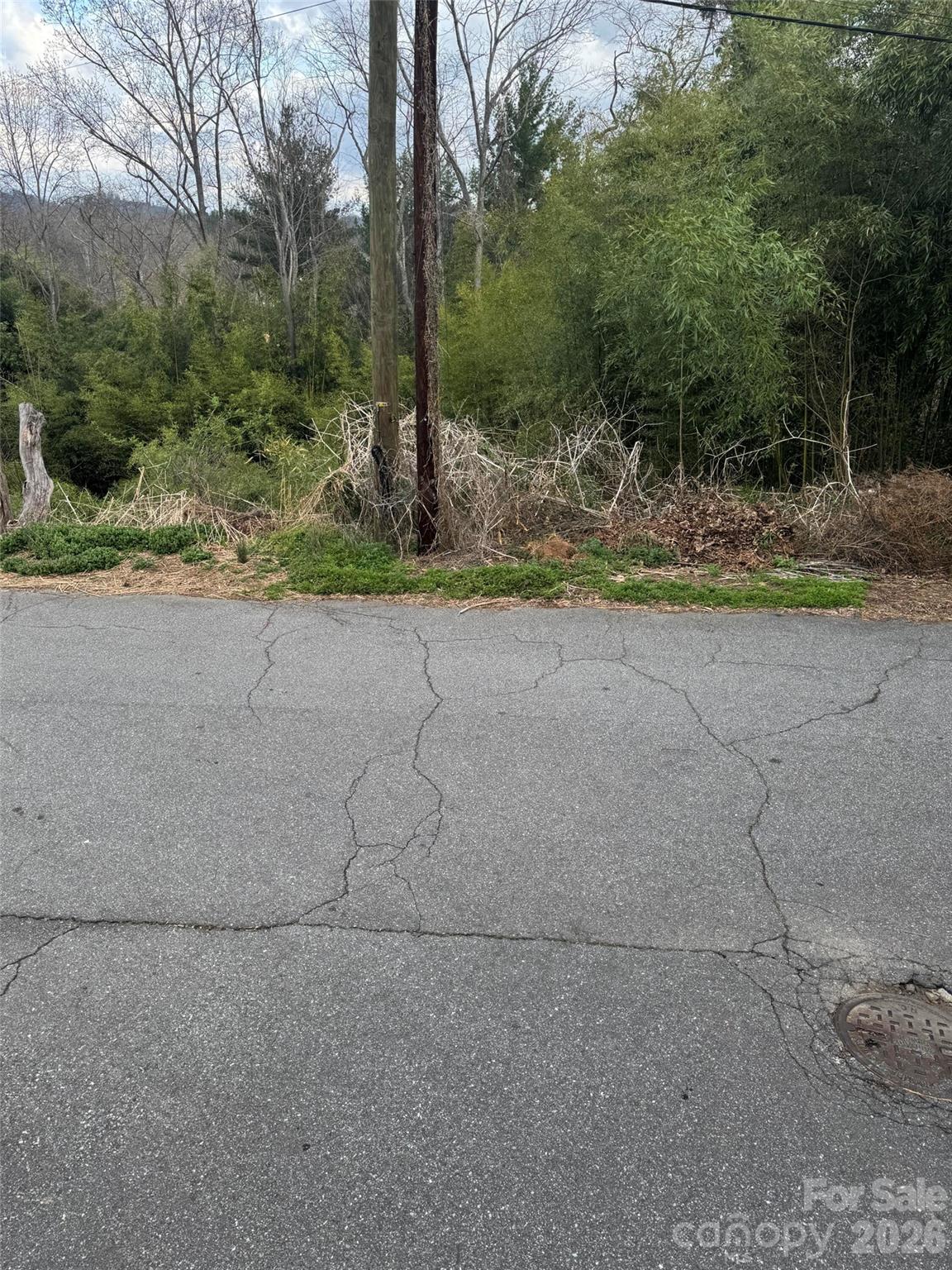 Lot at 38 Belleair Road, Asheville