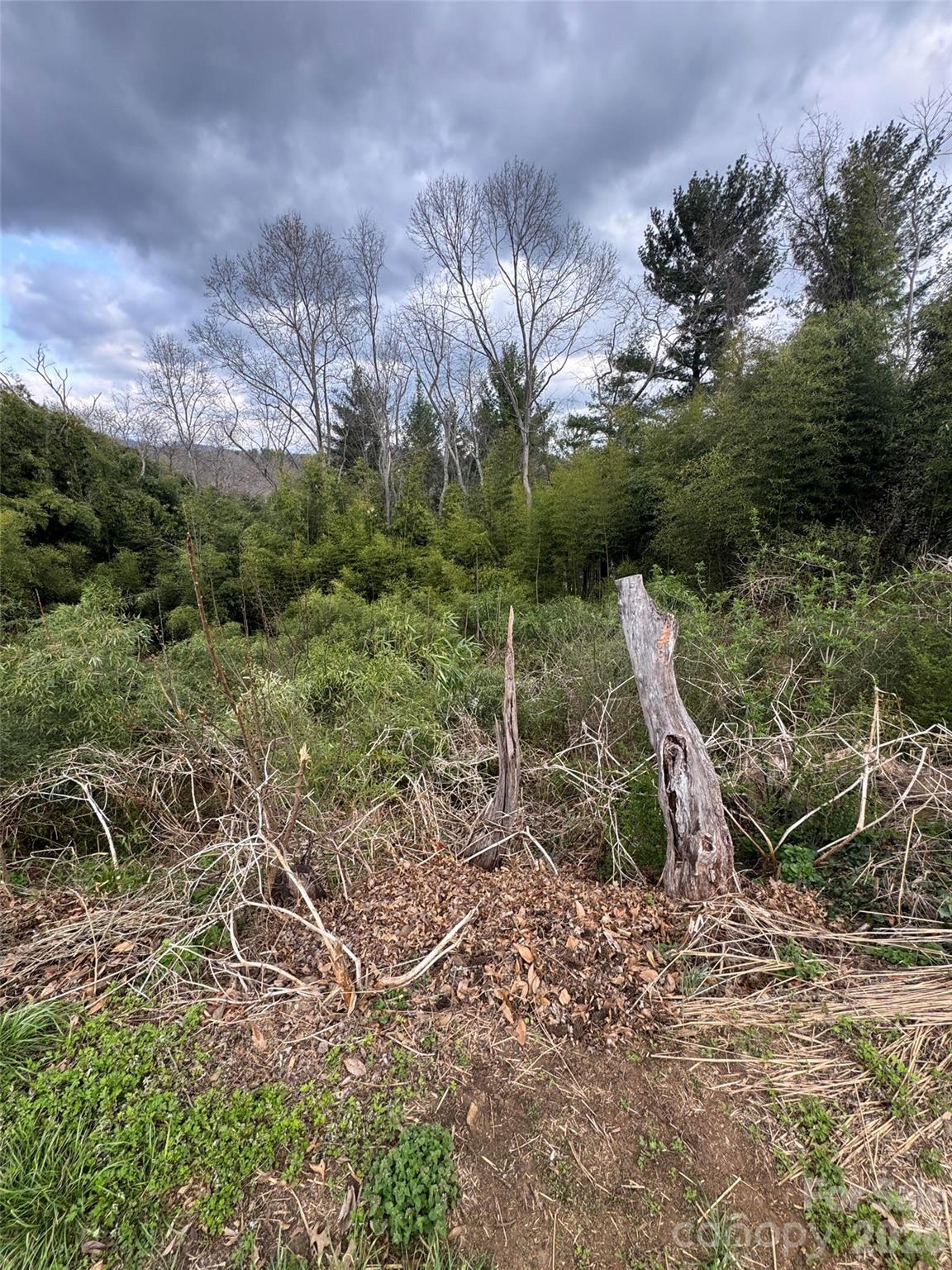 Lot at 38 Belleair Road, Asheville, photo 2 of 2