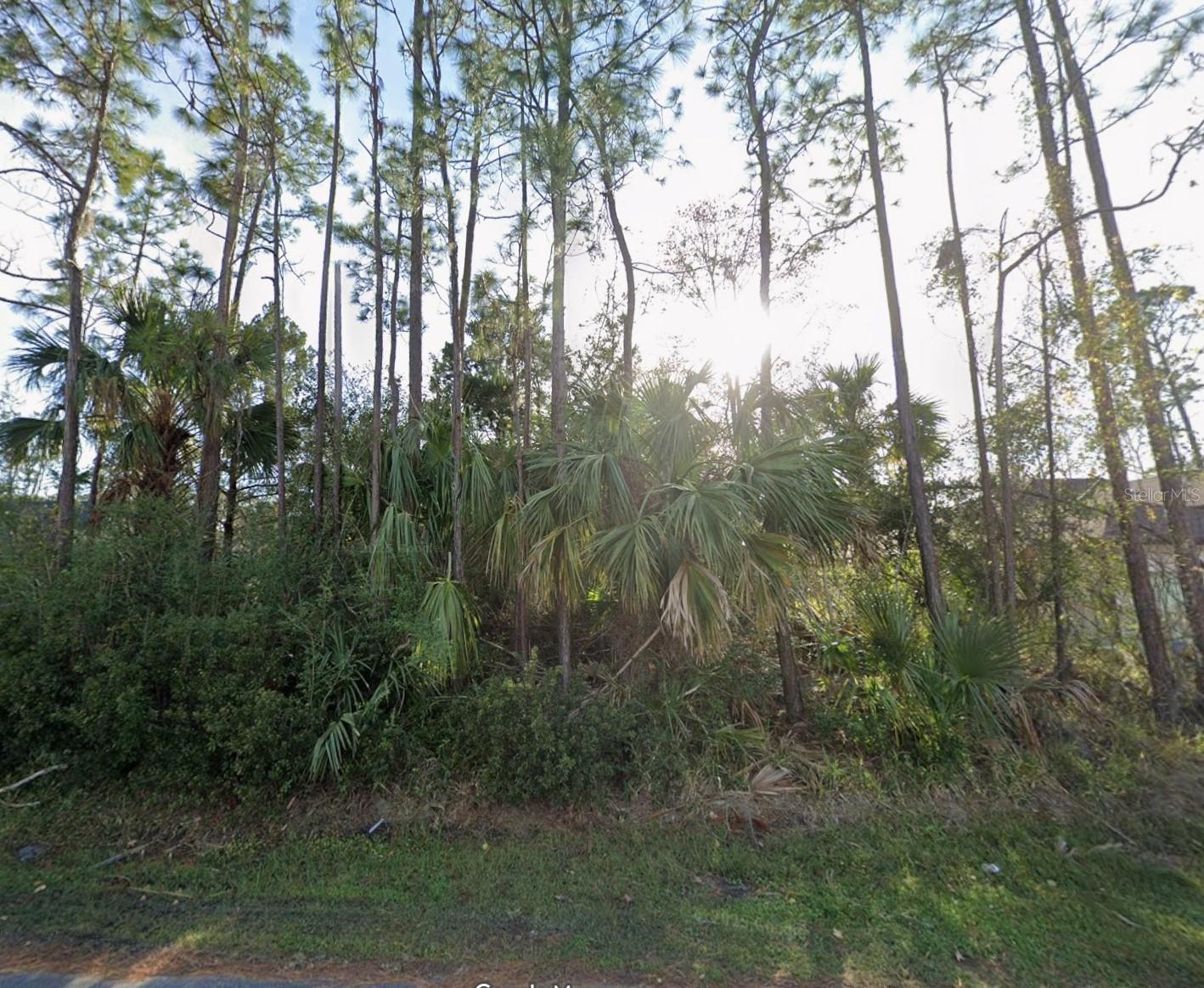 24 PONY LN