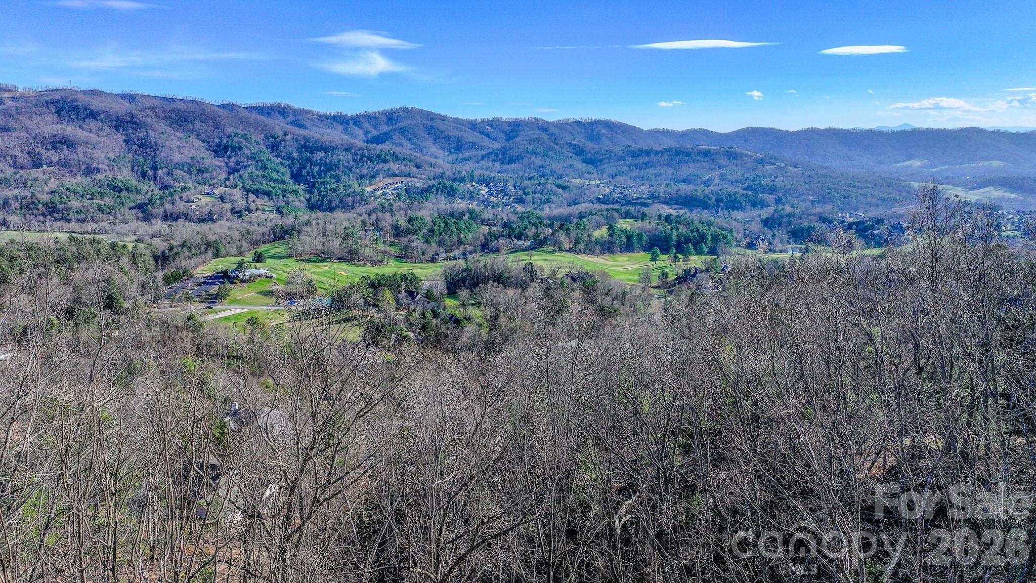 Realistic Potential View From House Looking Sout - 99999 High Bluff Drive, Weaverville