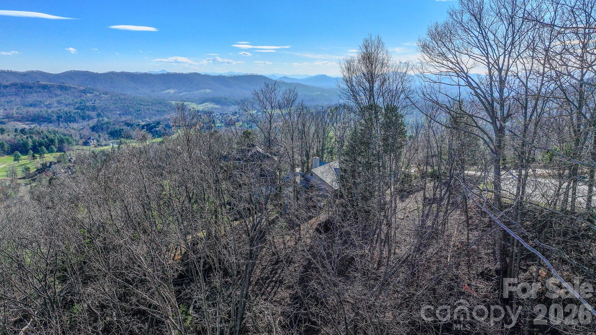 Realistic Potential View From House Looking West - 99999 High Bluff Drive, Weaverville