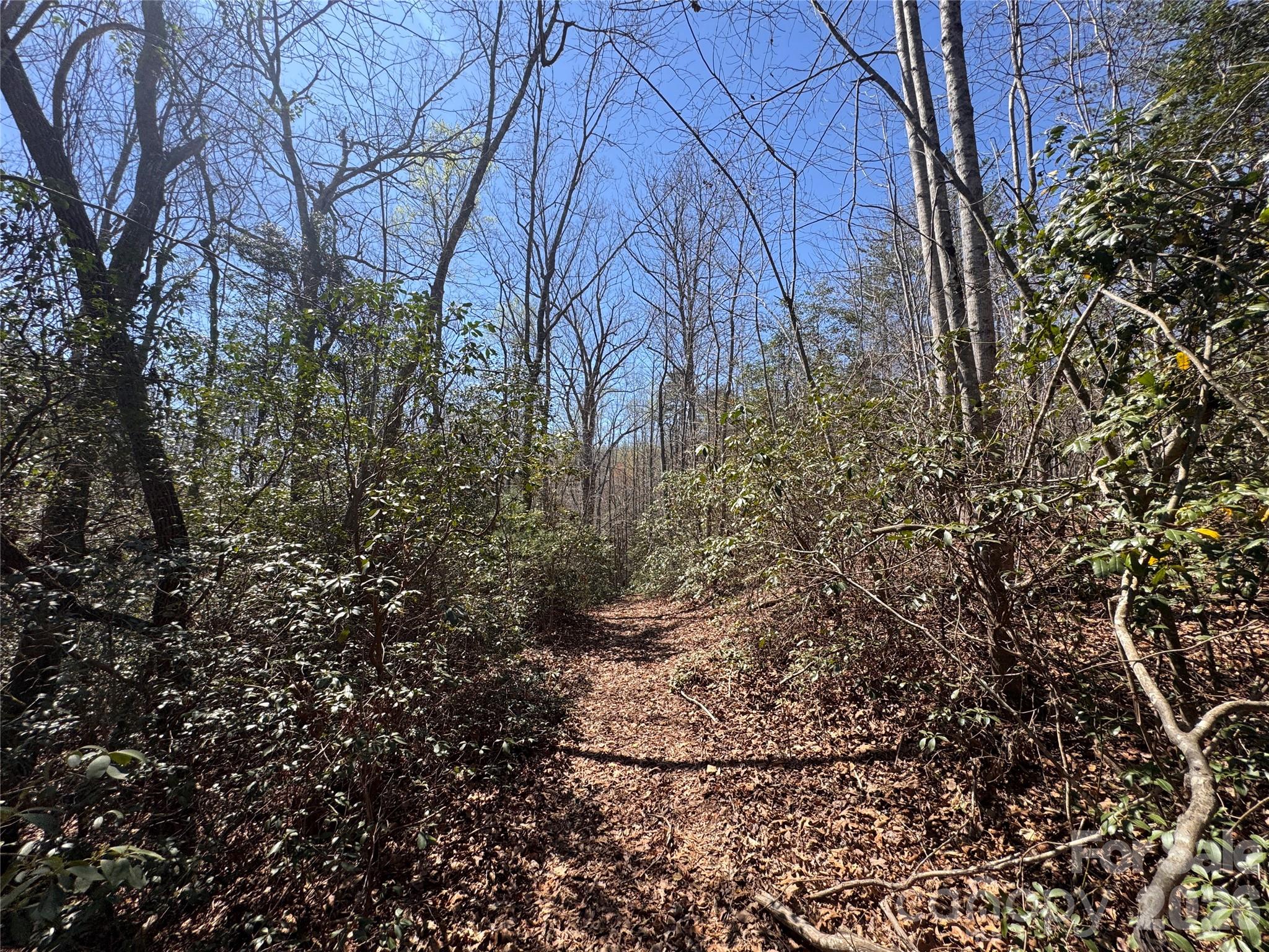 Acreage at 335 Woodrow Hoyle Road, Casar, photo 10 of 32