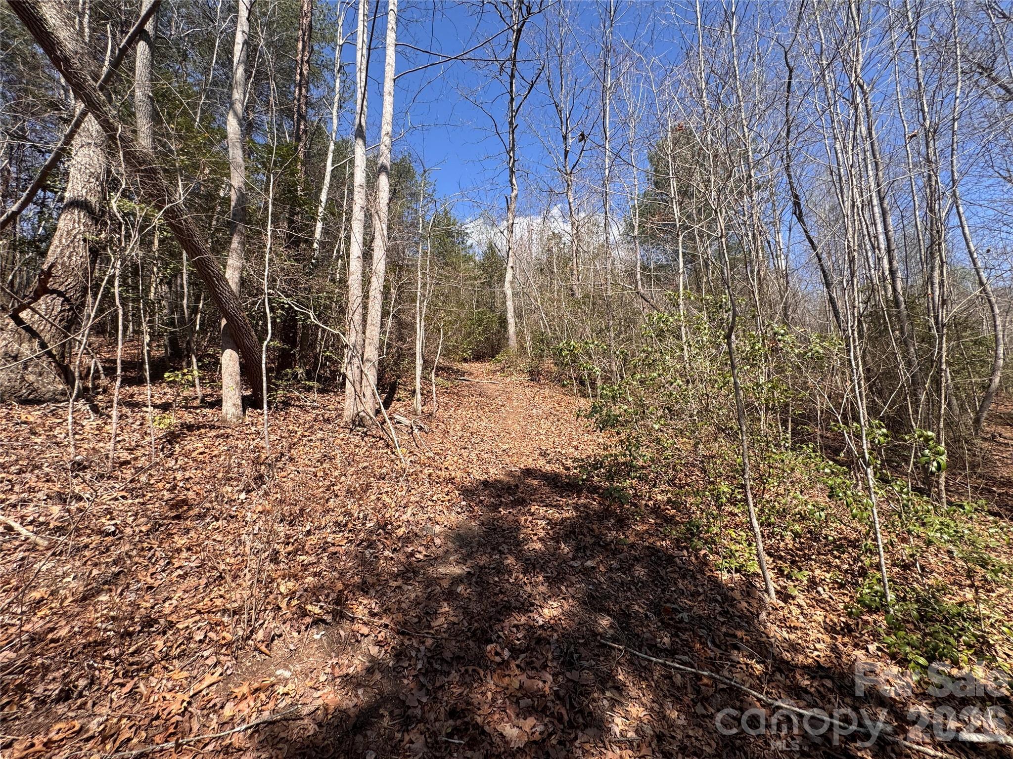 Acreage at 335 Woodrow Hoyle Road, Casar, photo 11 of 32